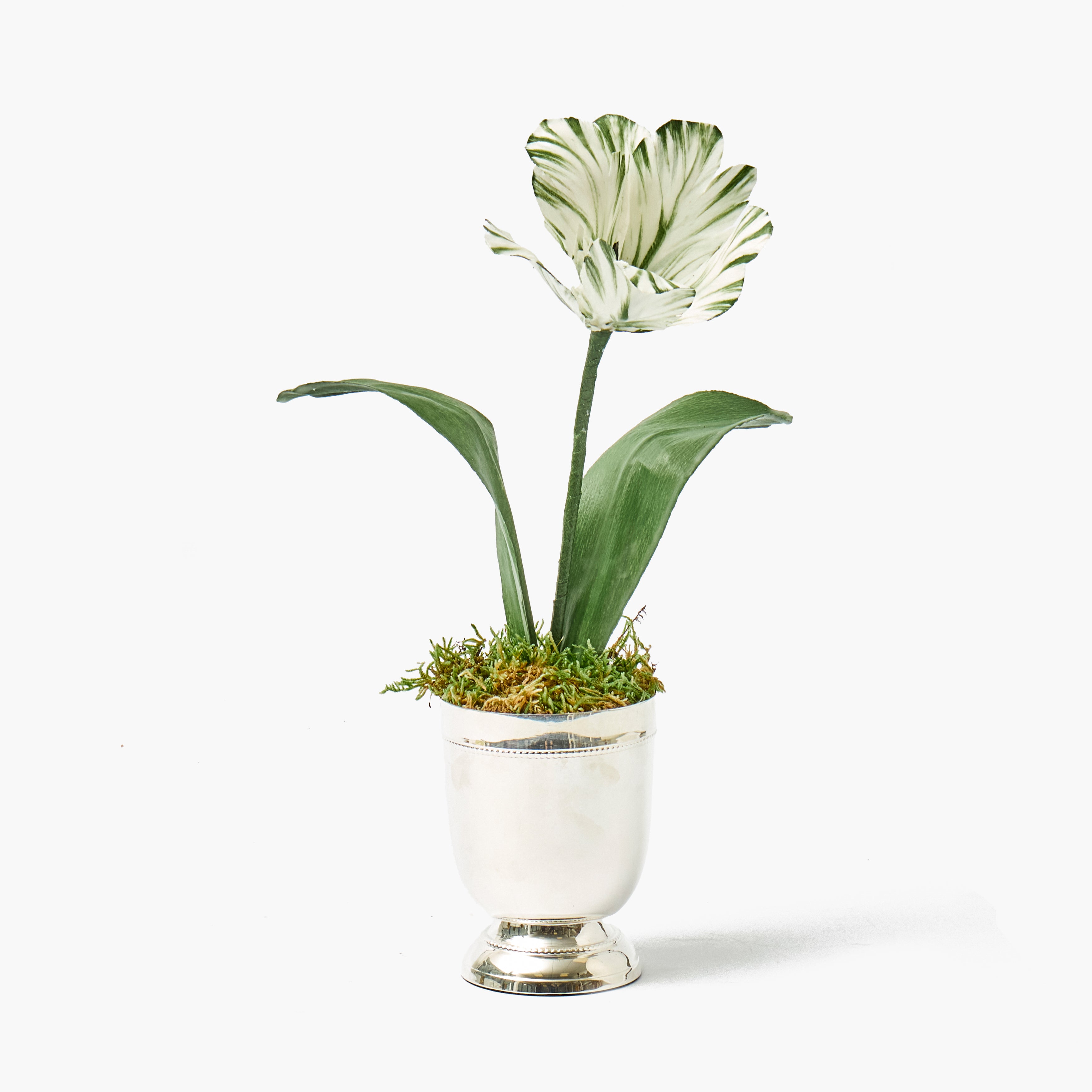 Mrs. Alice Handpainted Olive Tulip in Silver Footed Vase