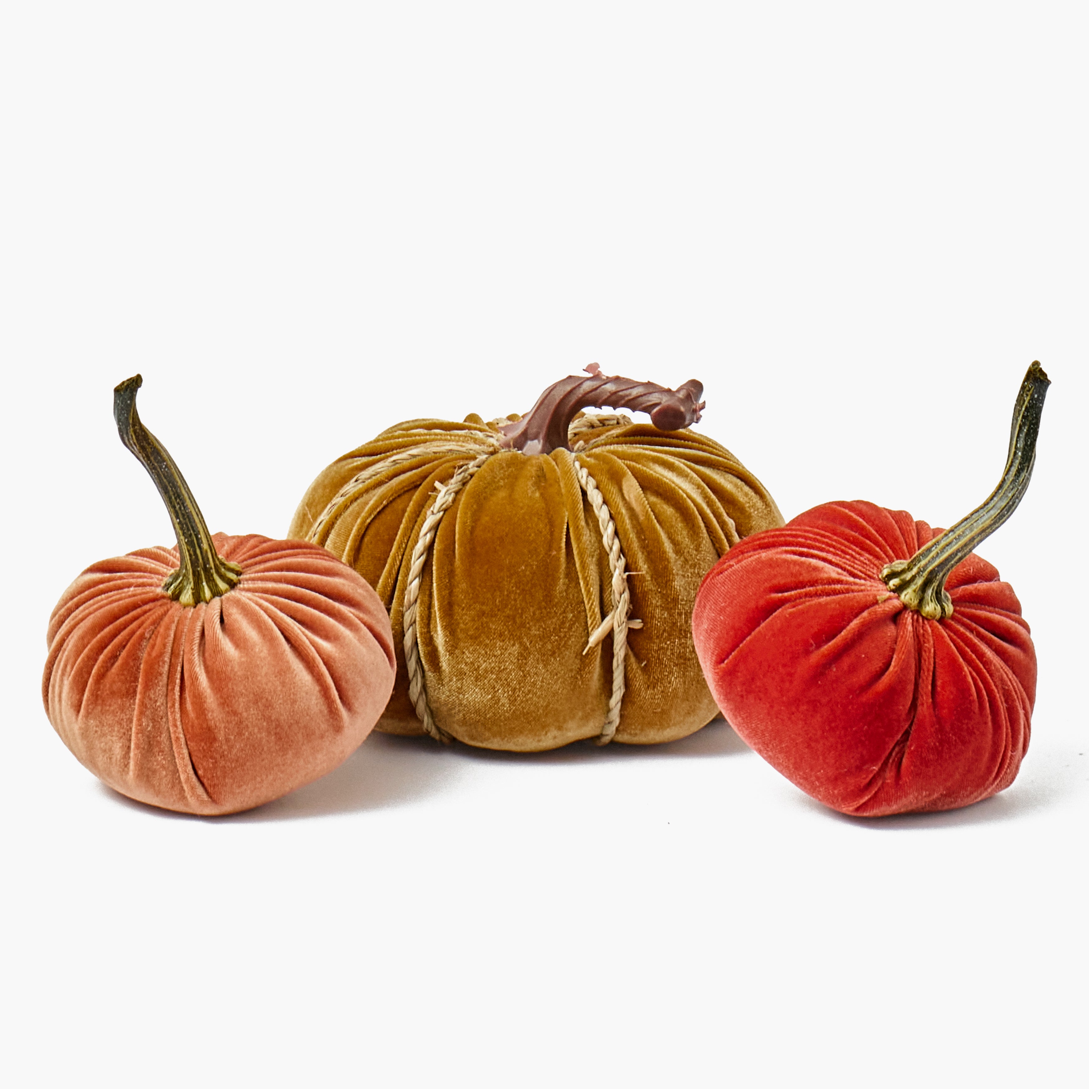 Autumn Harvest Decoration Set