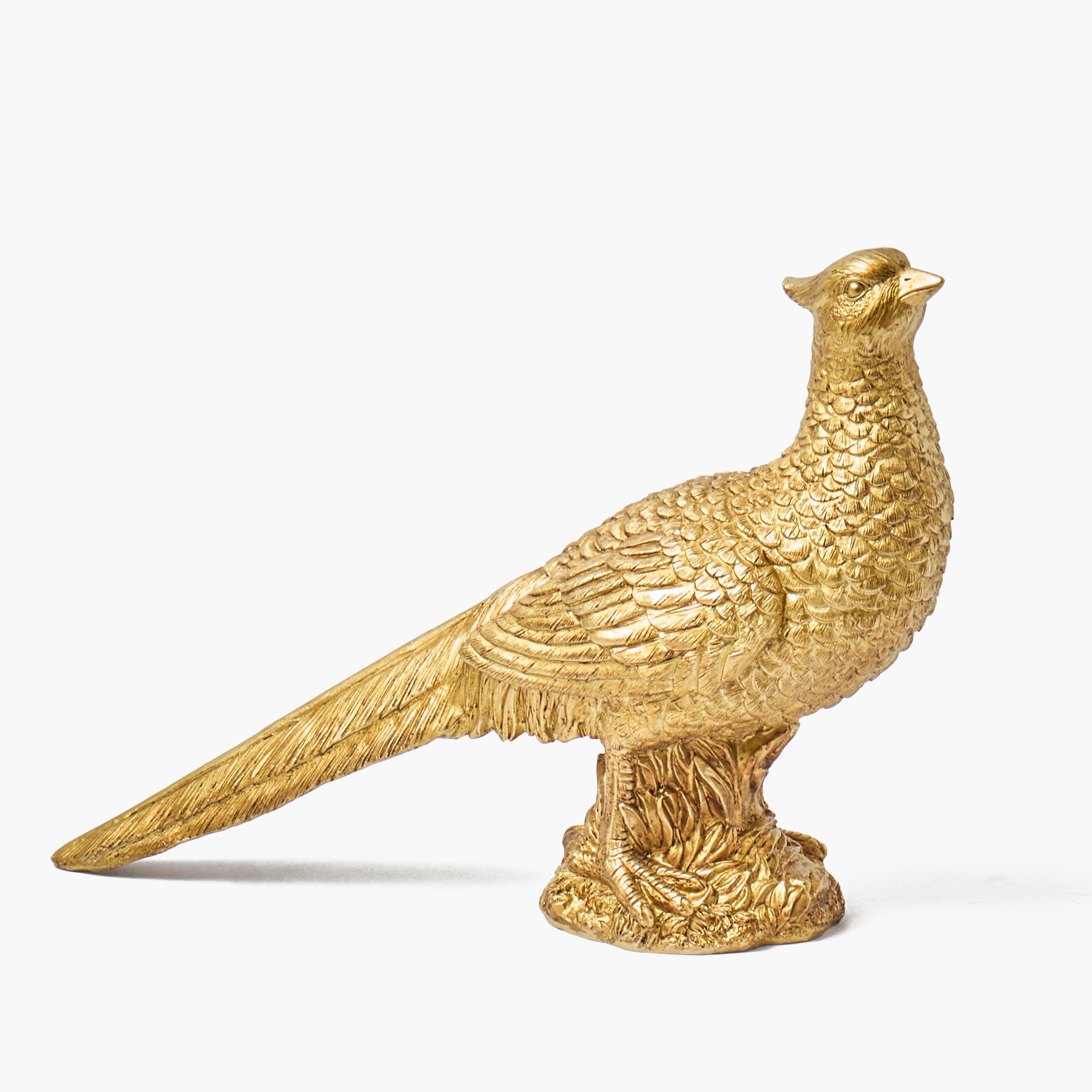 Gold Pheasant (Pair)