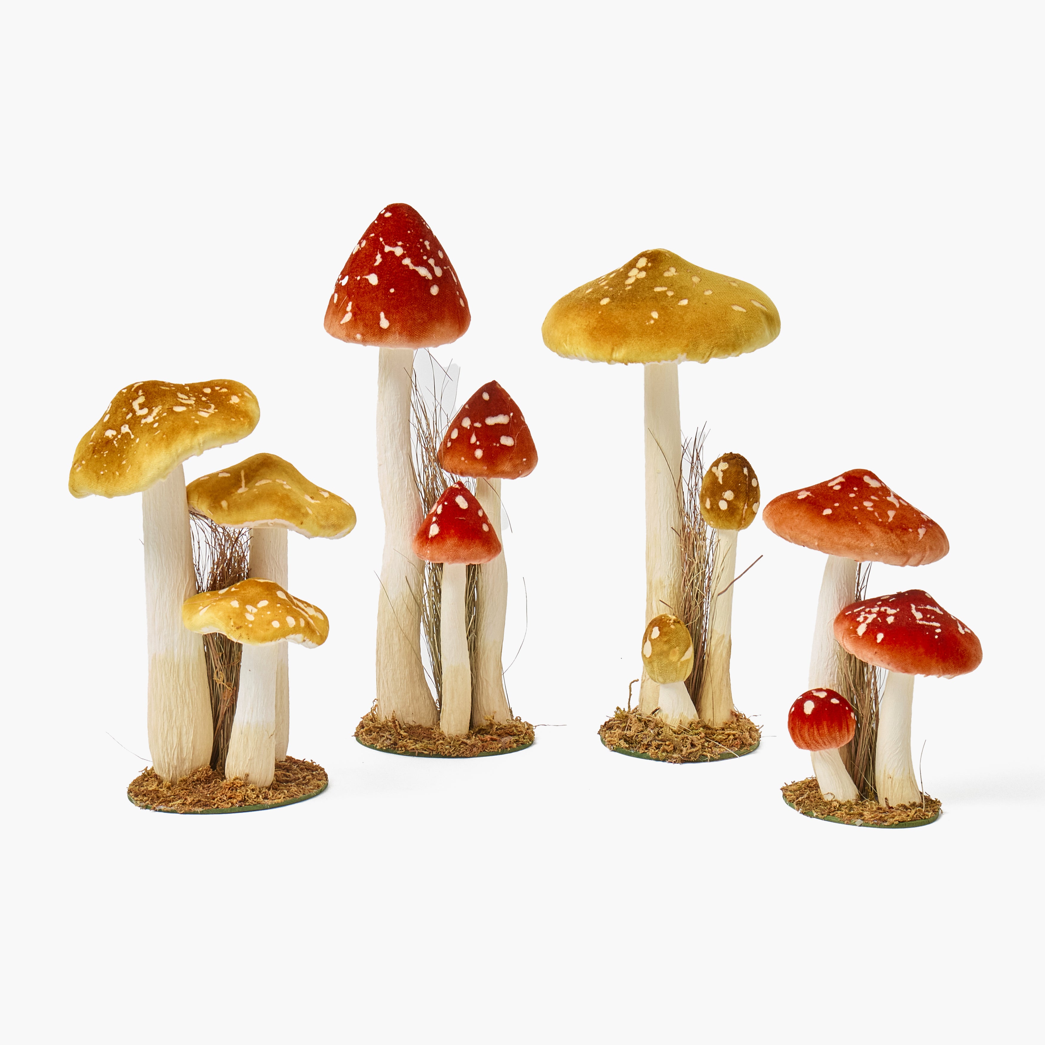 Speckled Mushroom Family