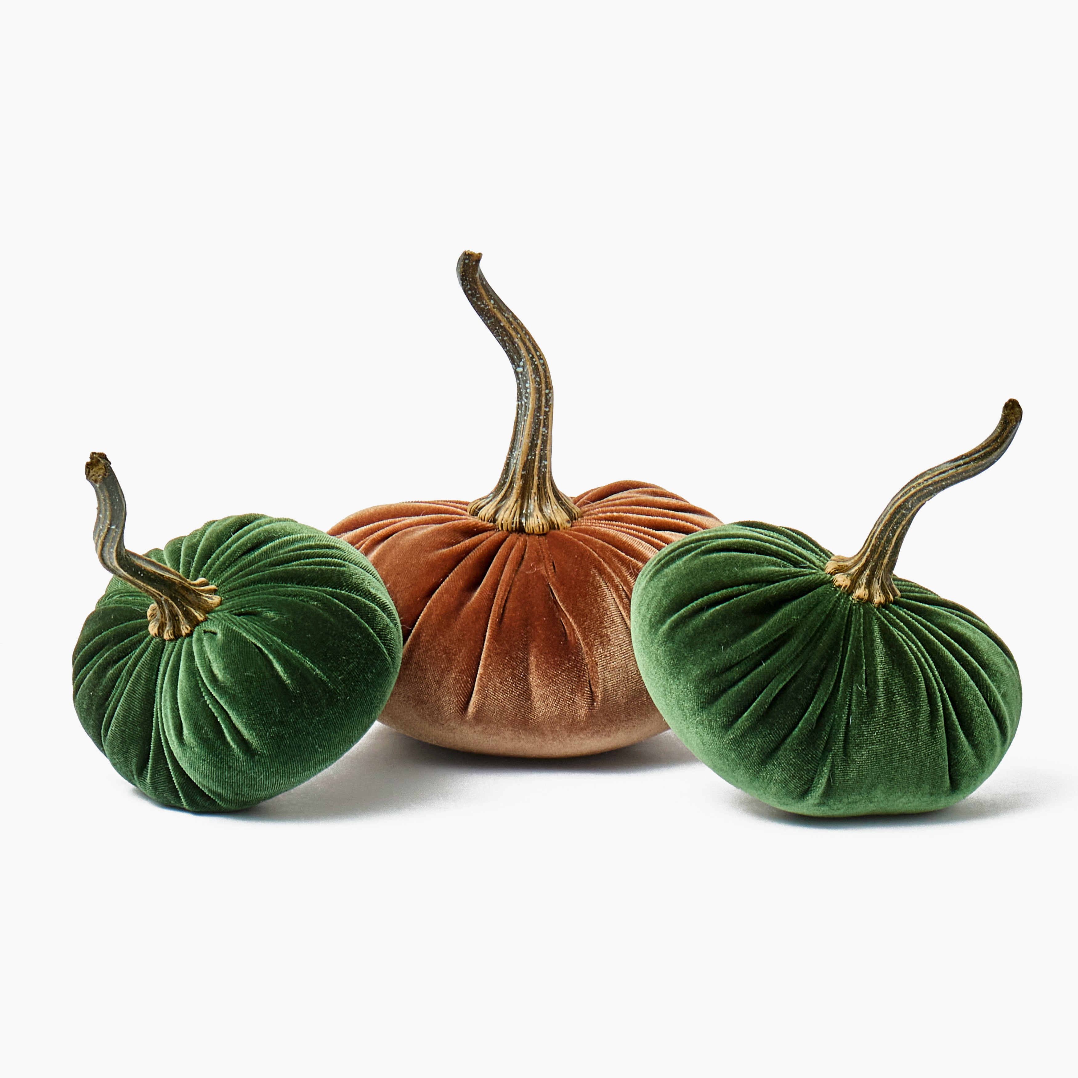 Chestnut & Moss Green Pumpkin Family