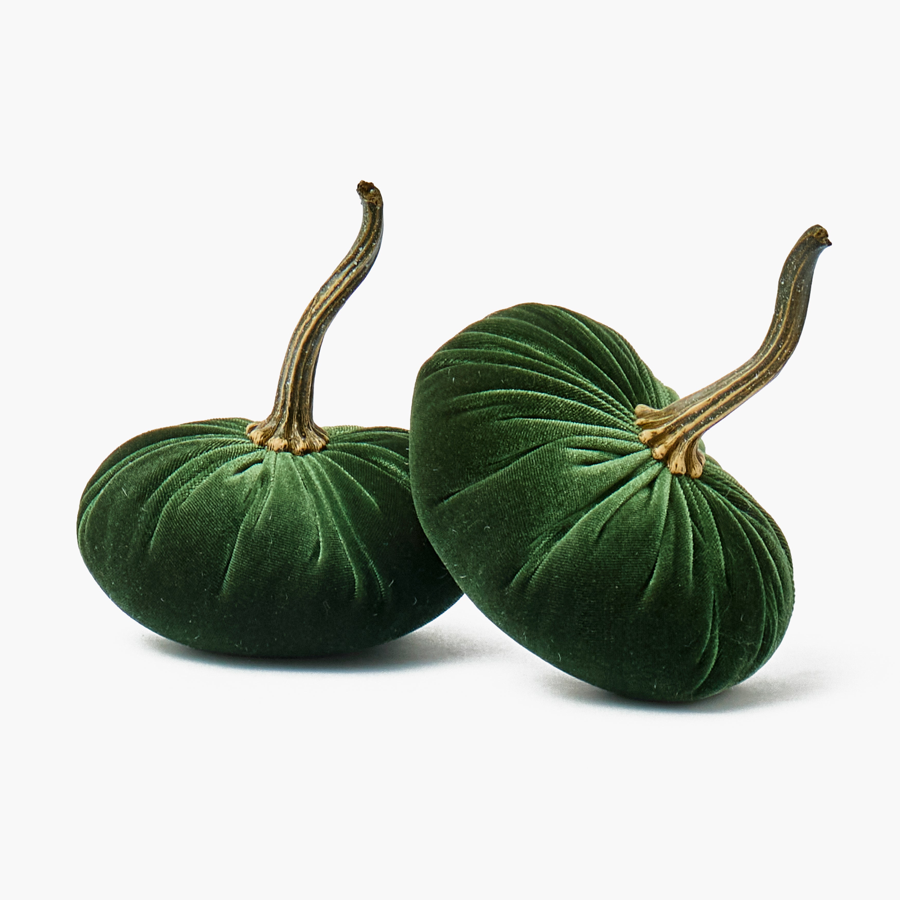 Chestnut & Moss Green Pumpkin Family