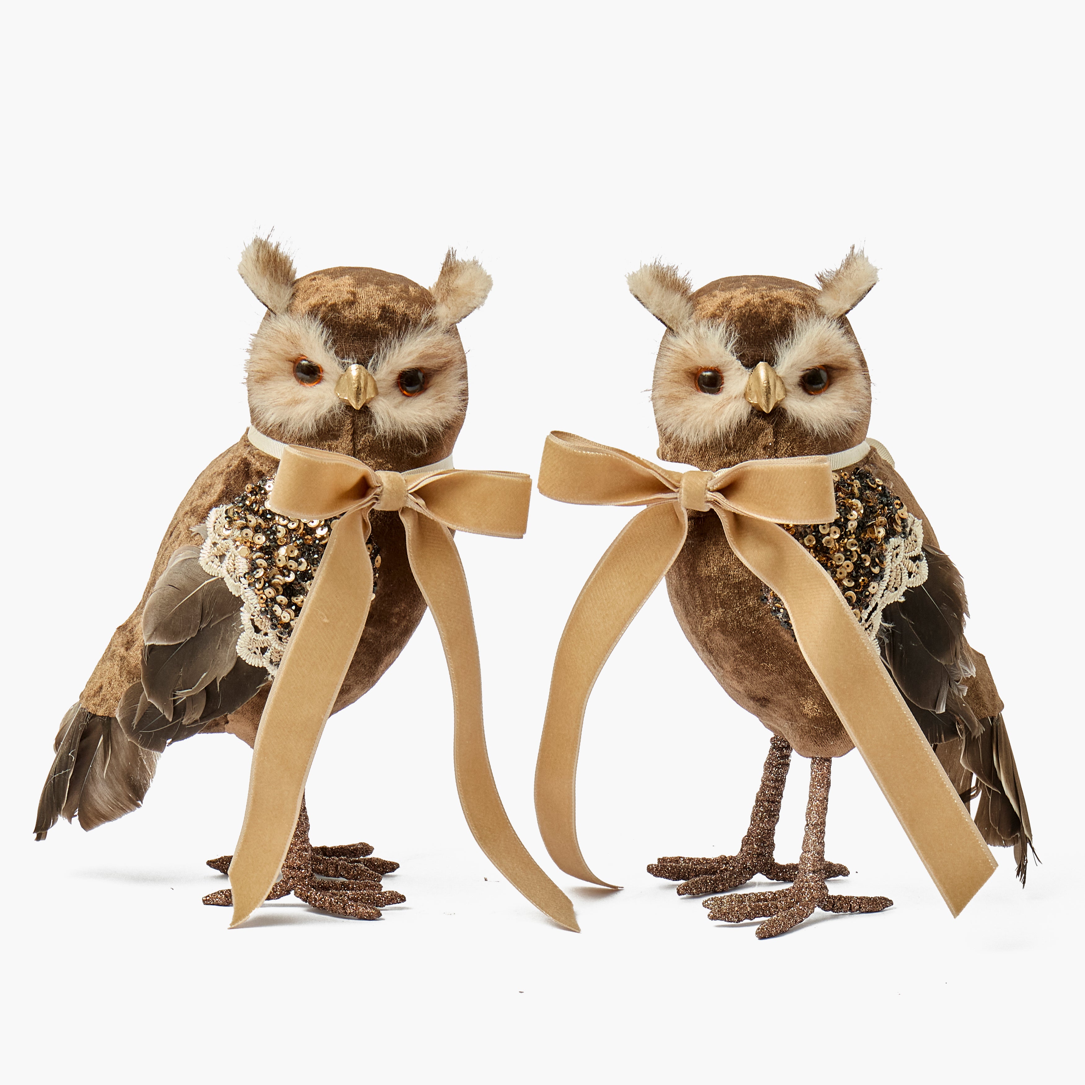 Enchanted Woodland Decoration Set