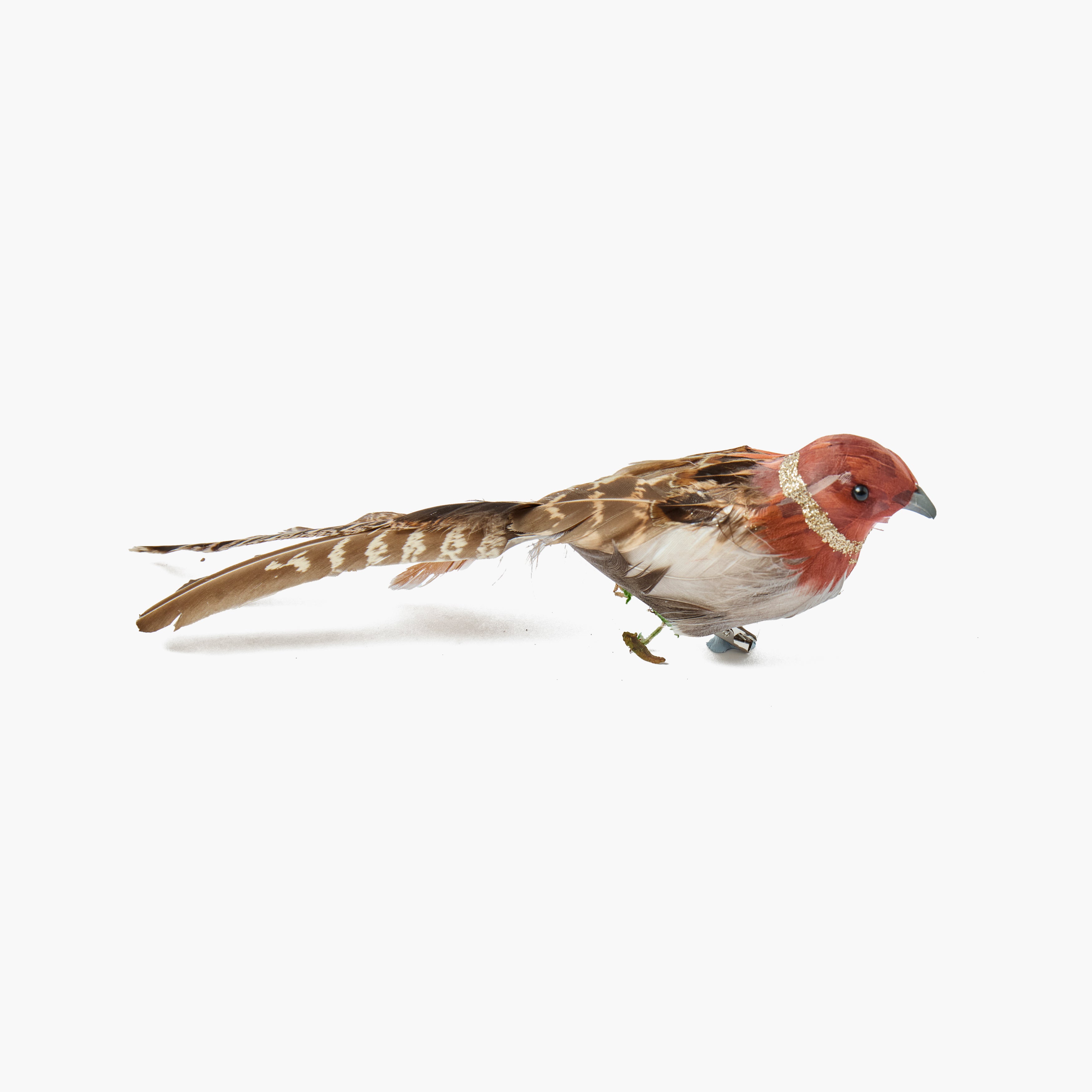 Long-Tailed Birds (Set of 4)