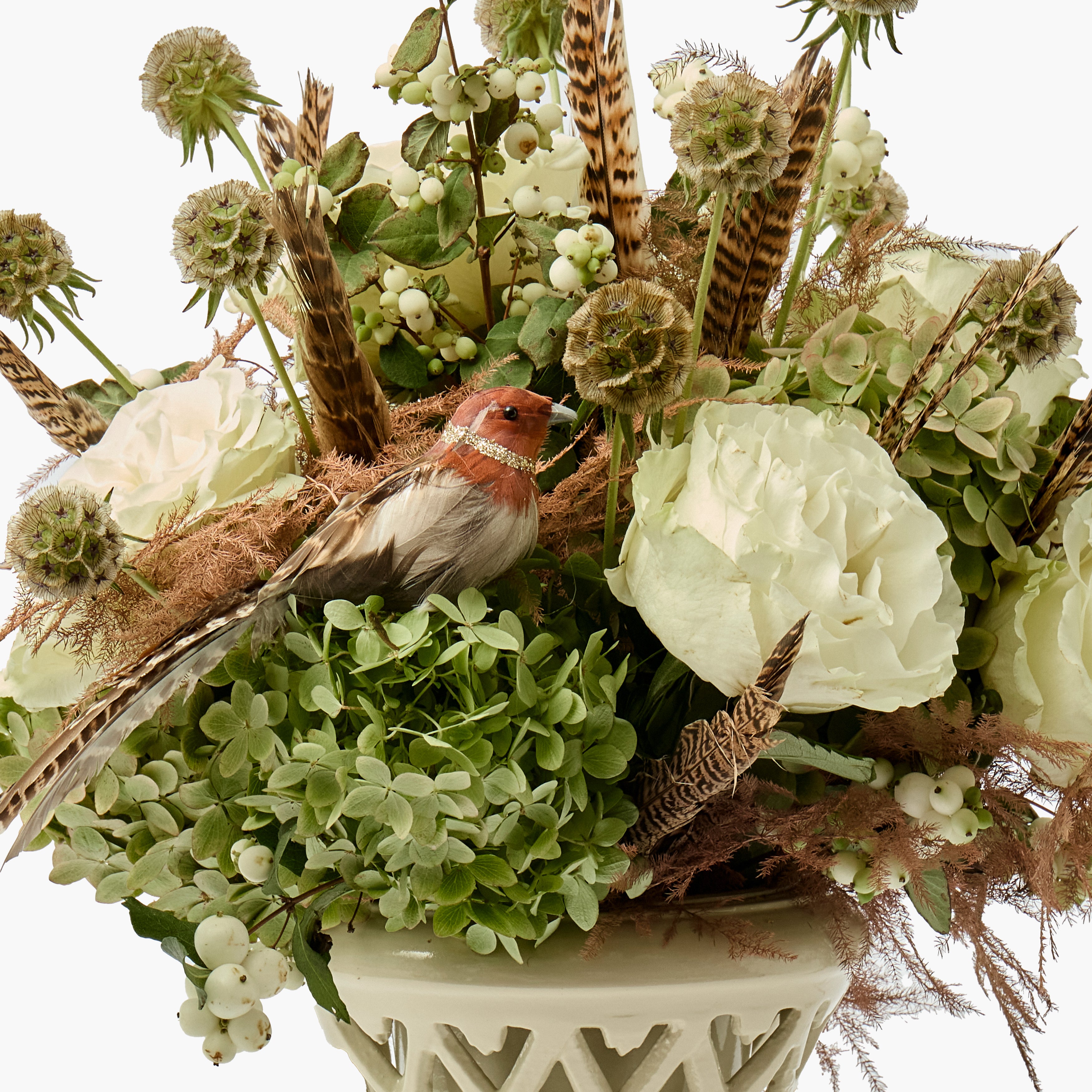 Long-Tailed Birds (Set of 4)