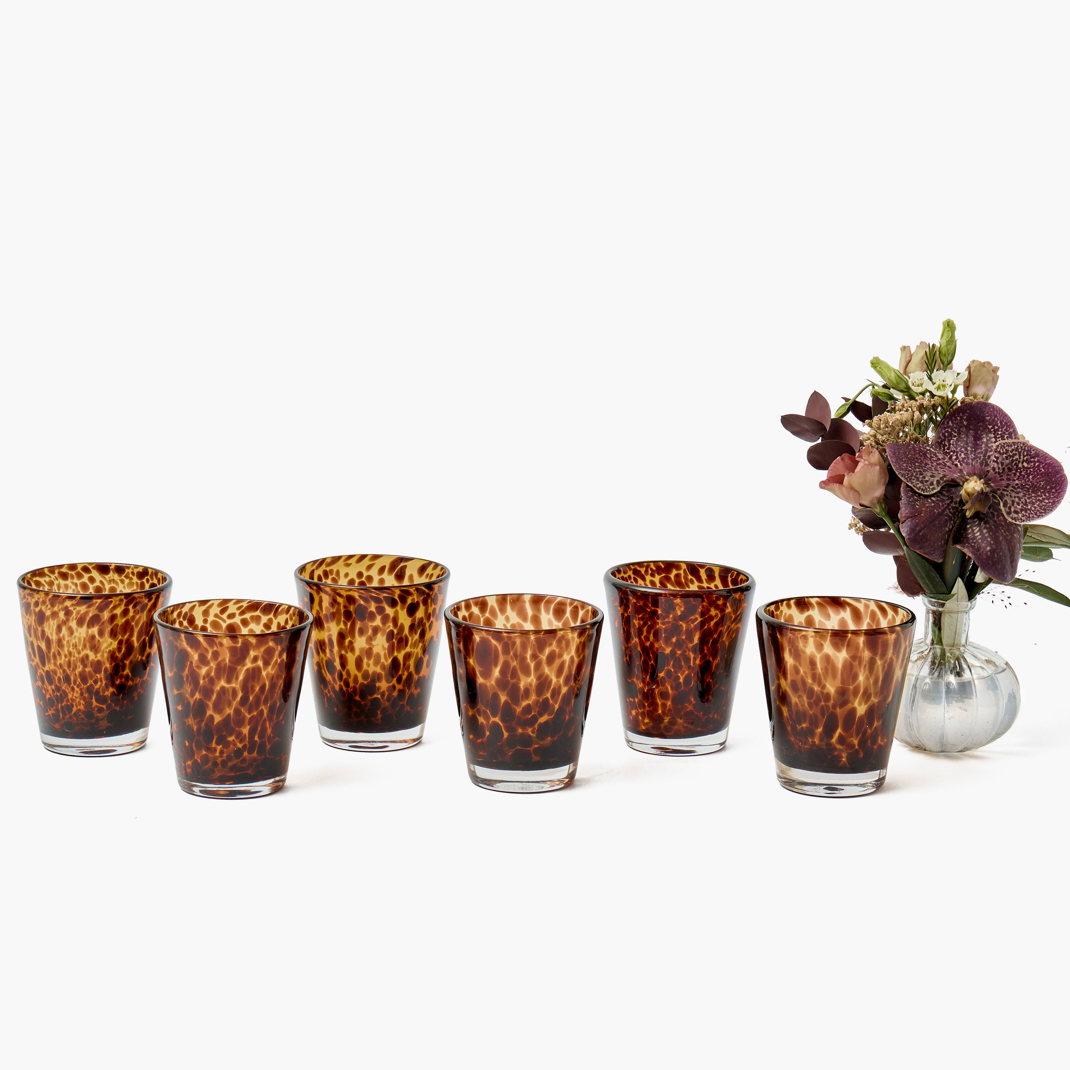 Tortoiseshell Glasses (Set of 6)