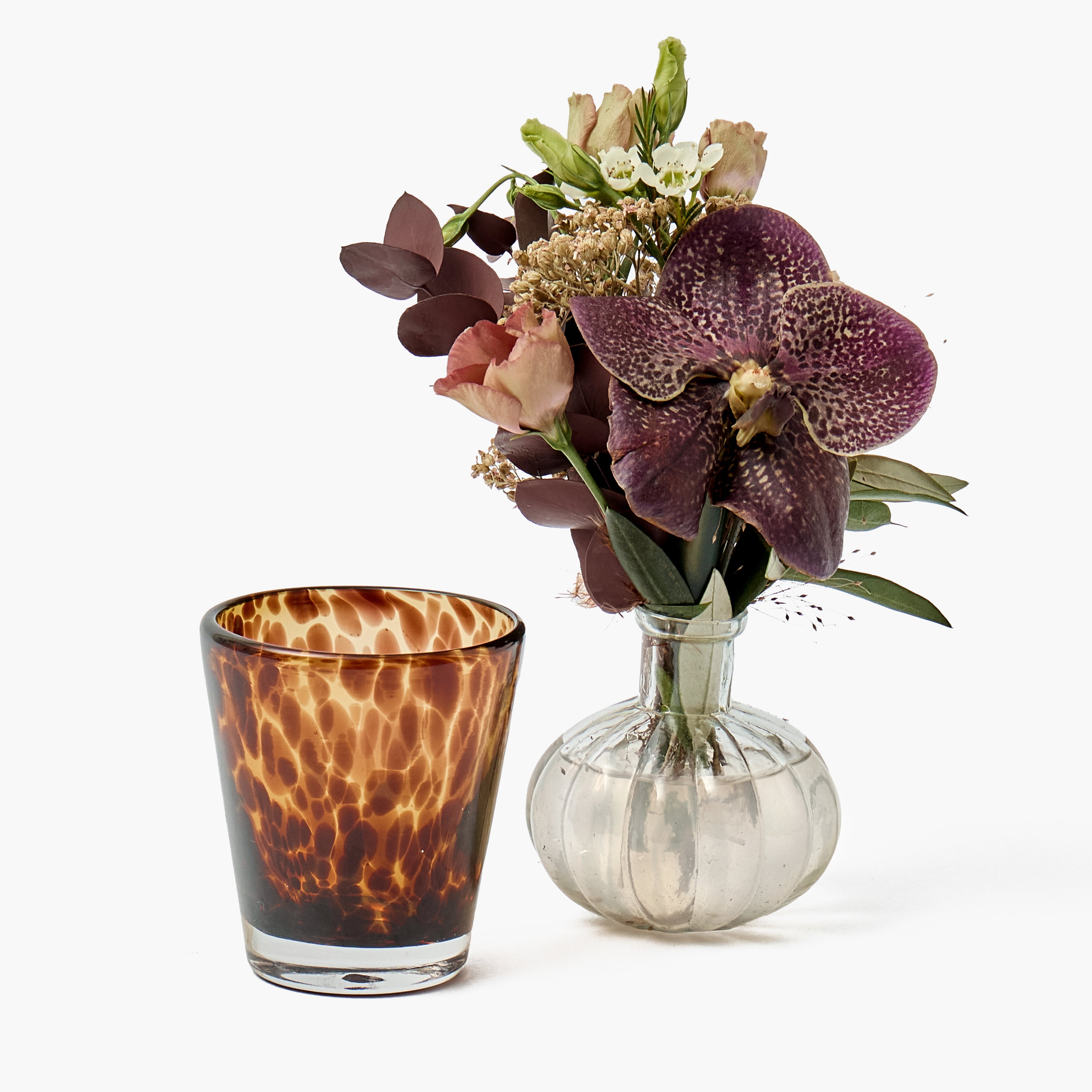 Tortoiseshell Glasses (Set of 6)