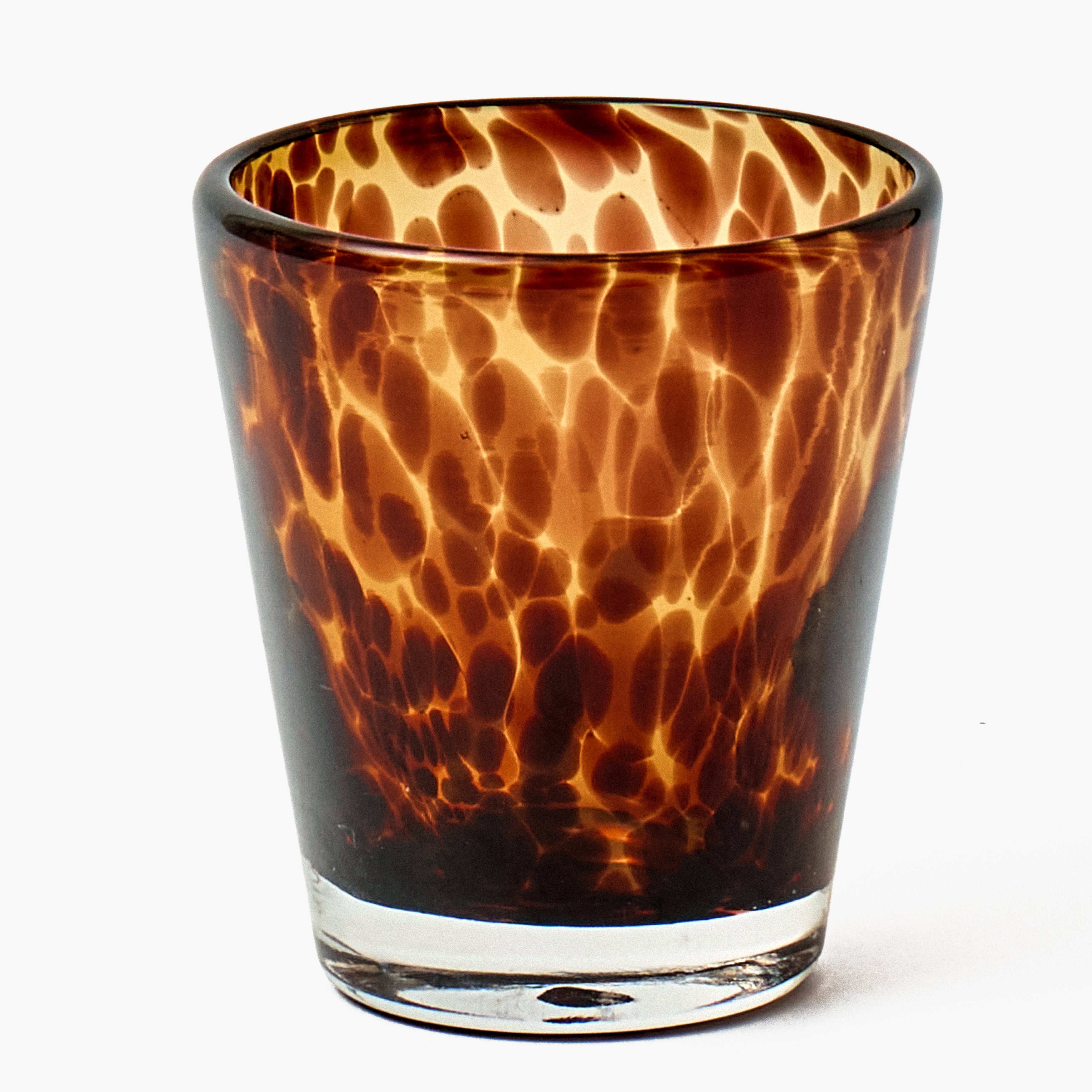 Tortoiseshell Glasses (Set of 6)