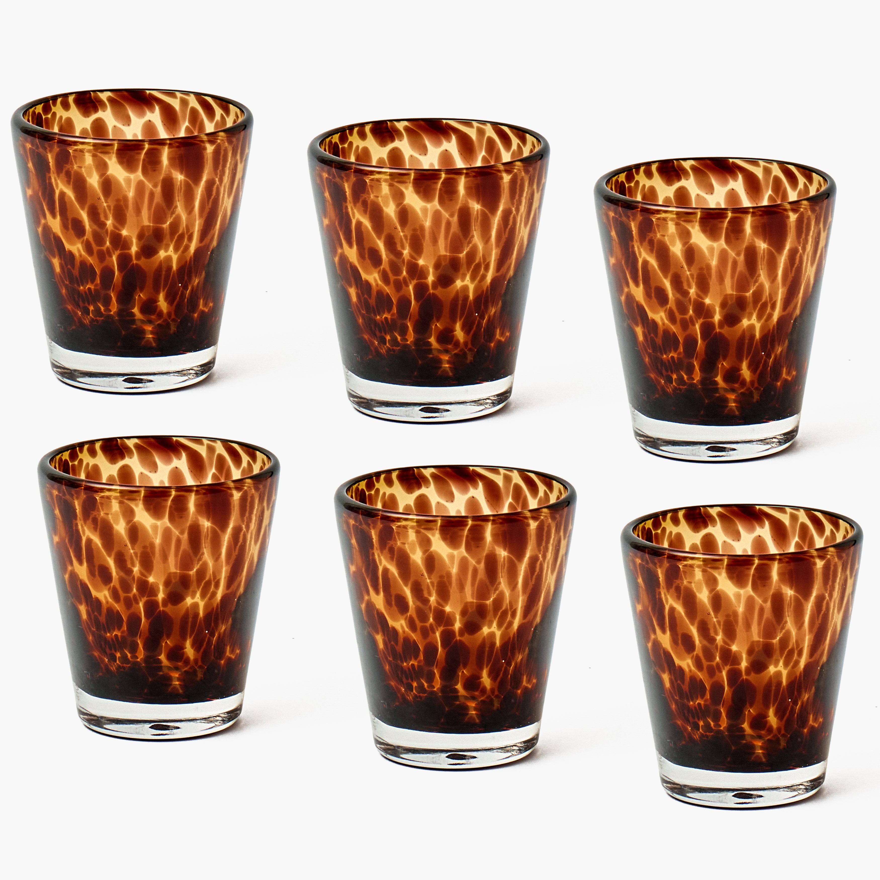 Tortoiseshell Glasses (Set of 6)