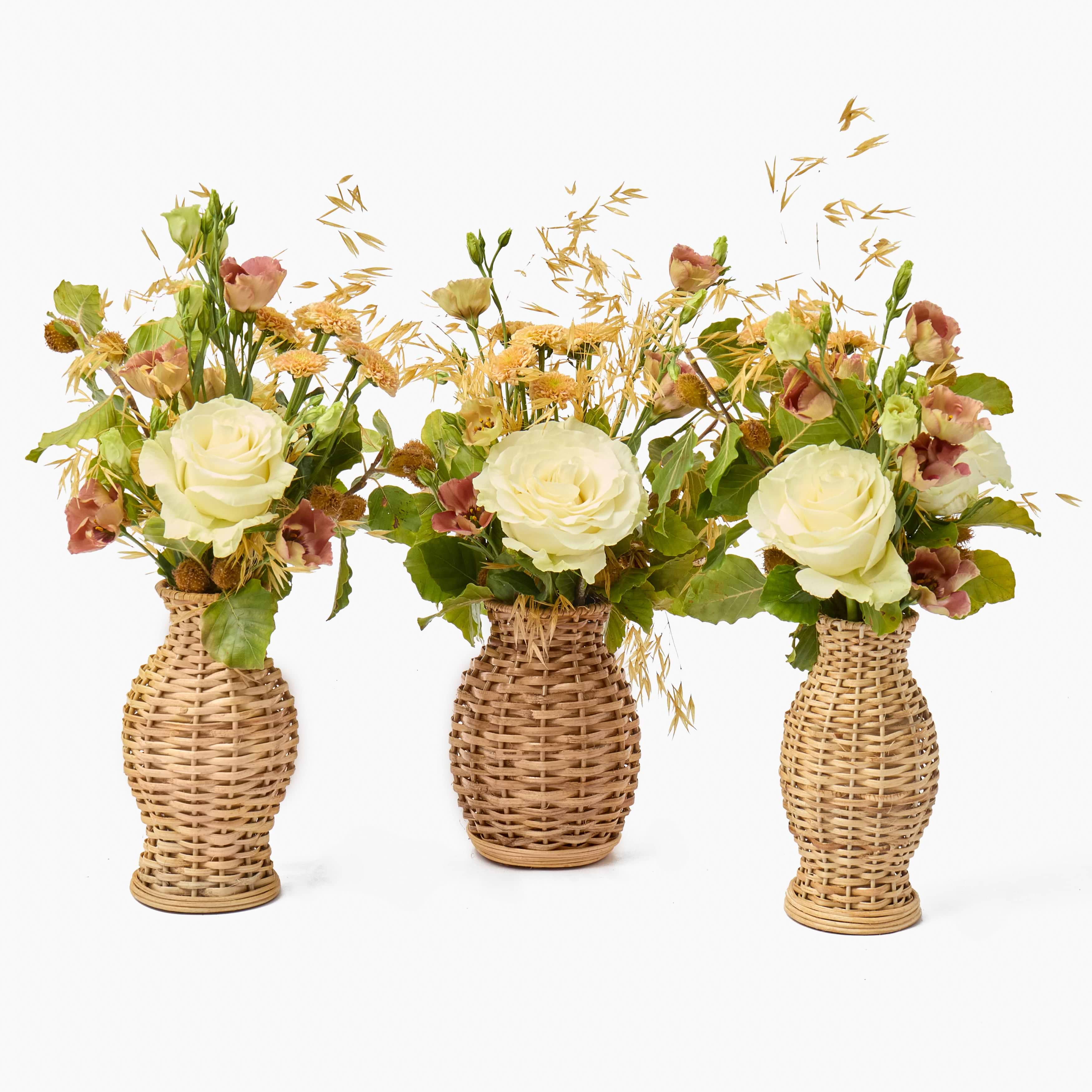 Rattan Vase (Set of 3)