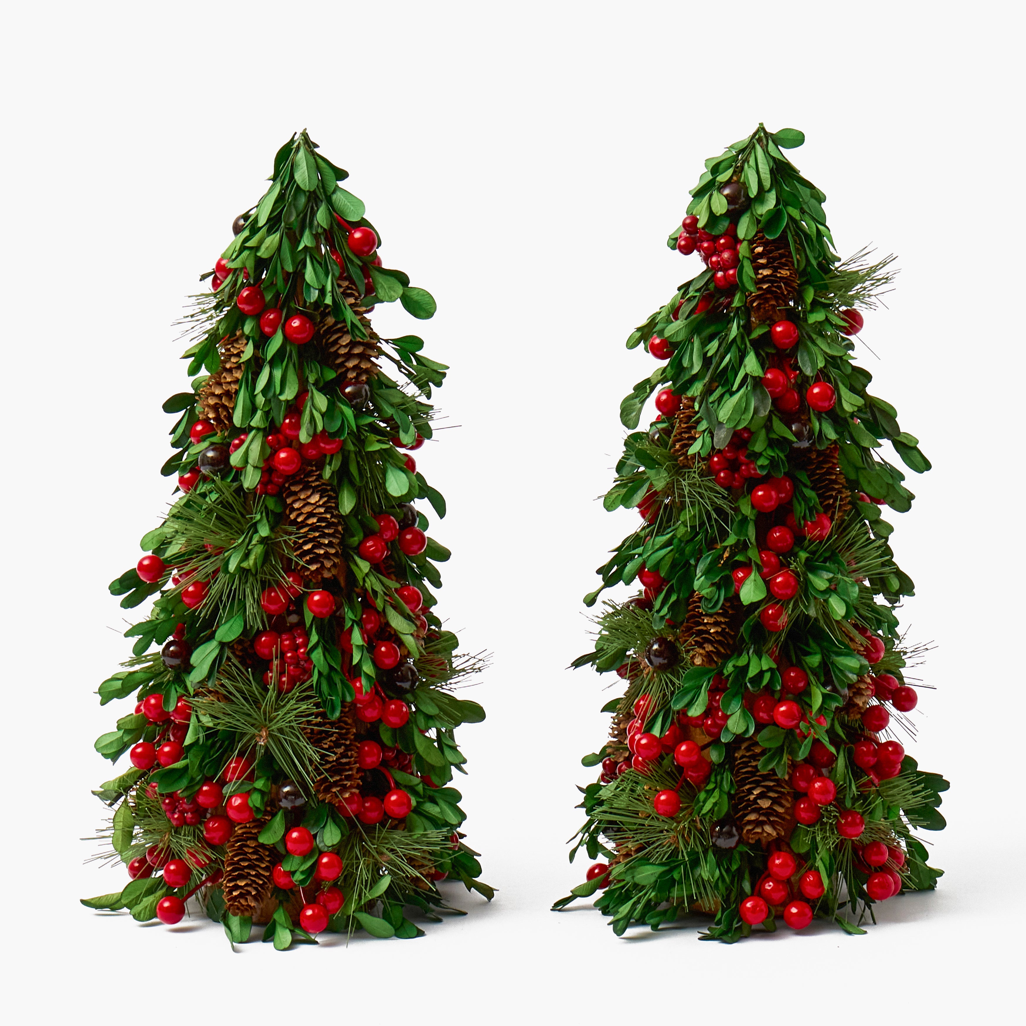 Boxwood & Berry Tree (Pair)