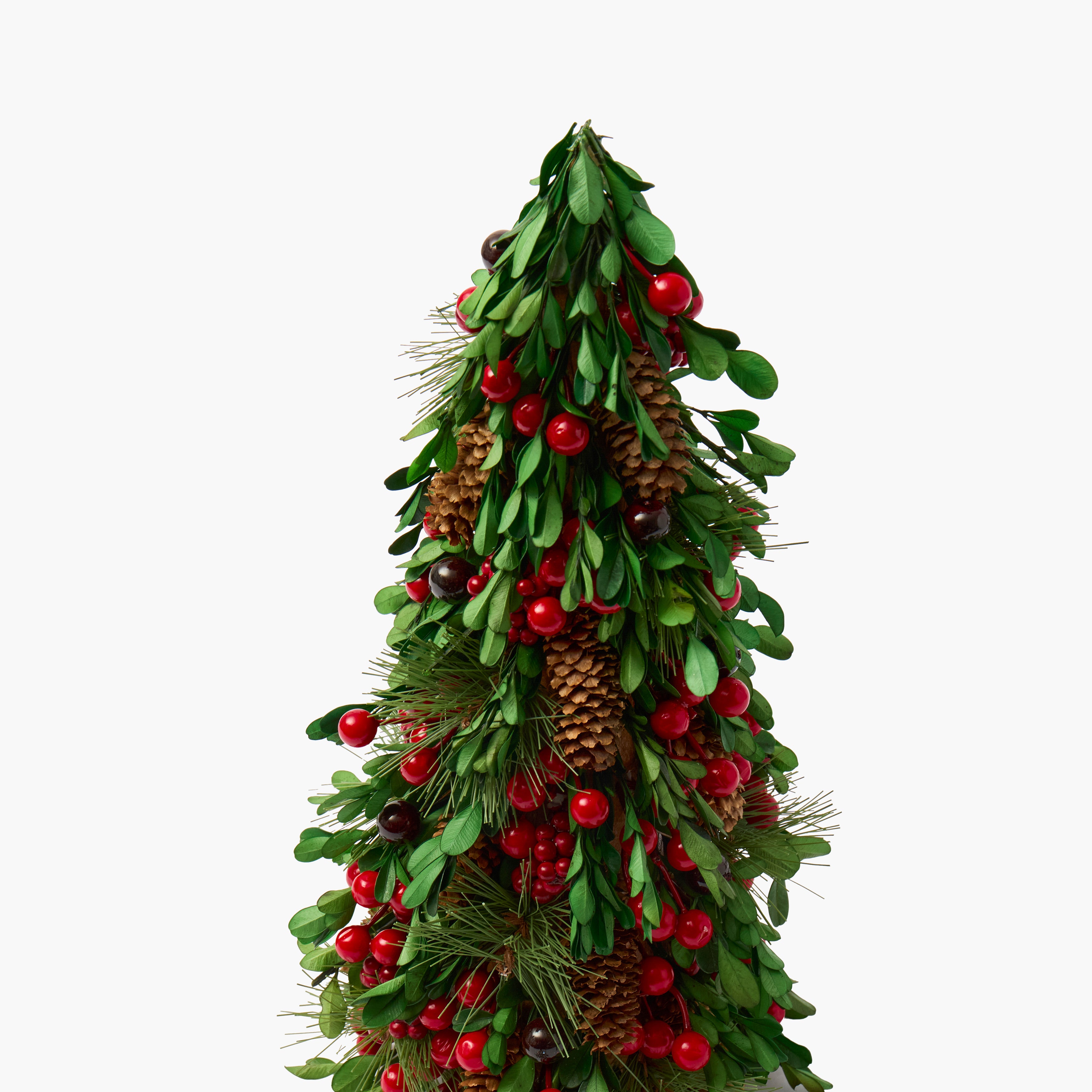 Boxwood & Berry Tree (Pair)