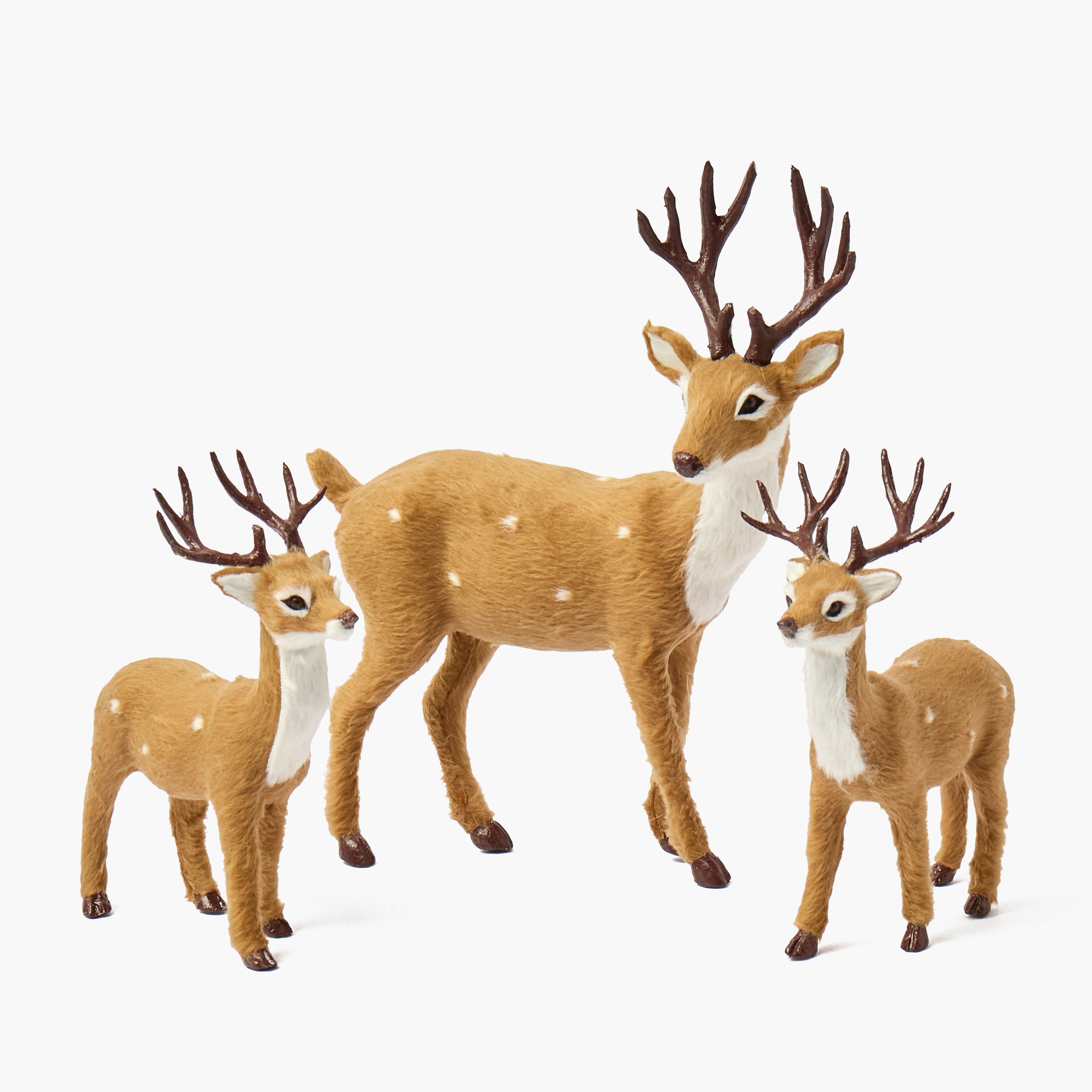 Brown Spotted Deer Family
