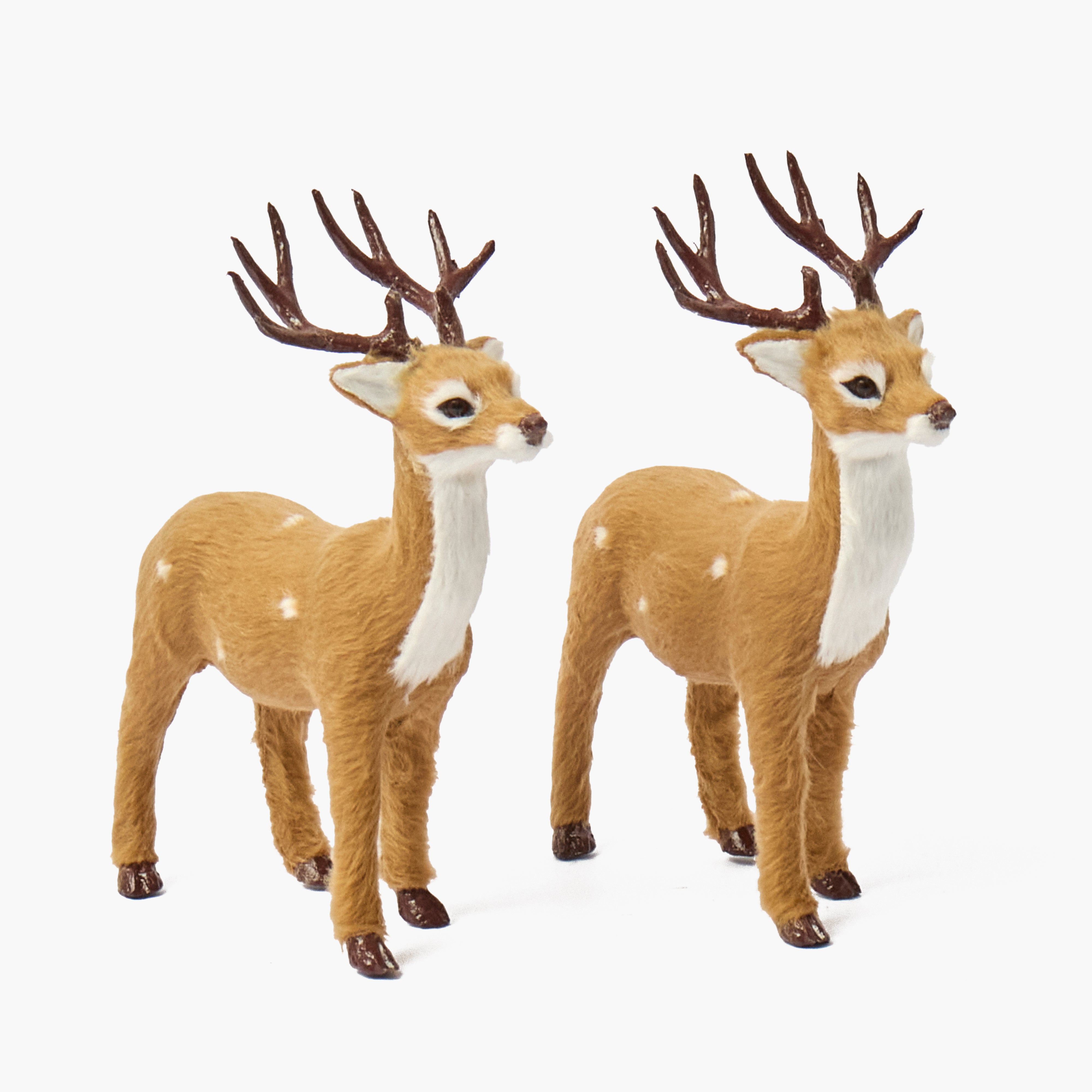 Brown Spotted Deer Family