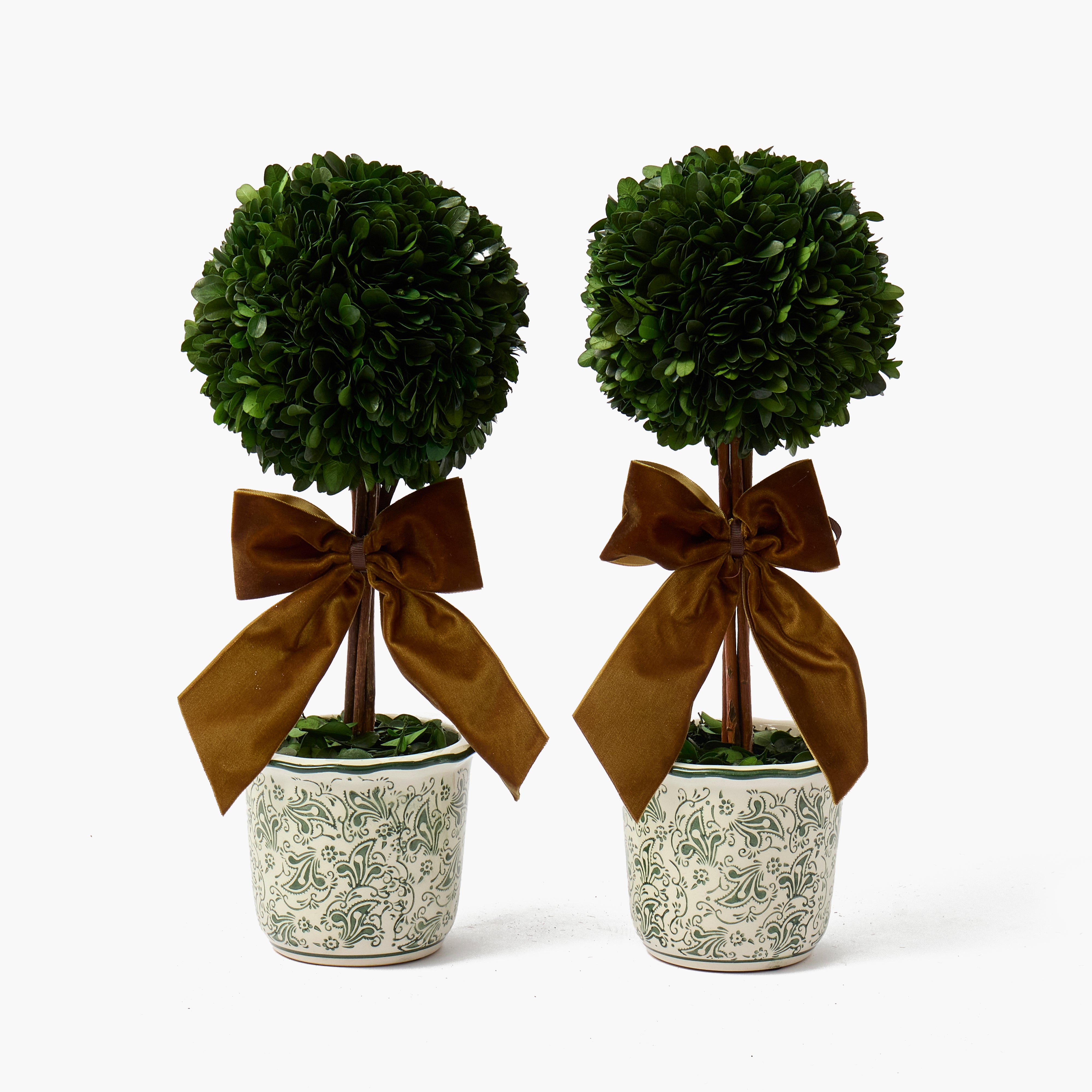 Large Chocolate Ribboned Chinoiserie Potted Boxwood Balls (Pair)