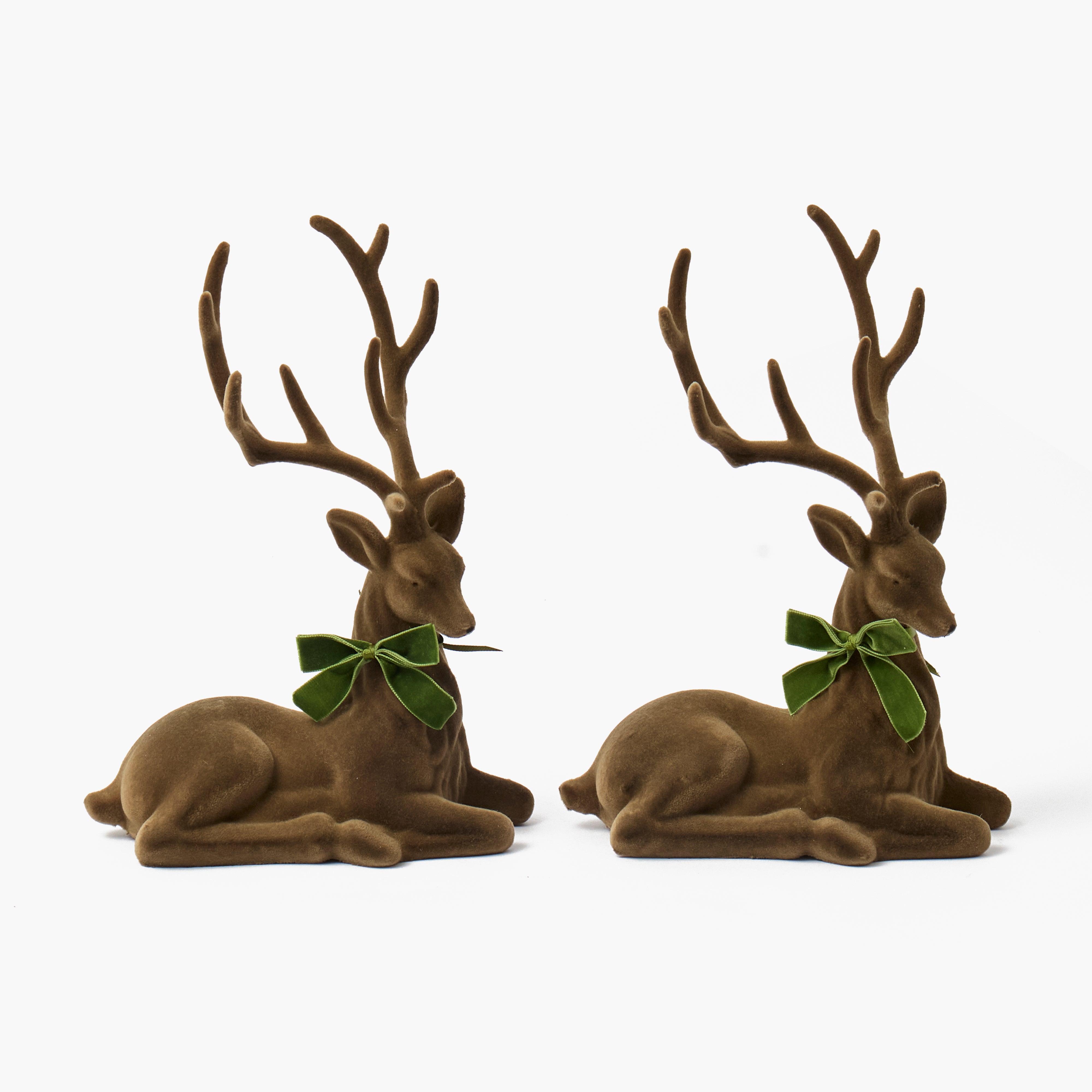 Green Ribboned Chocolate Flocked Sitting Reindeer (Pair)