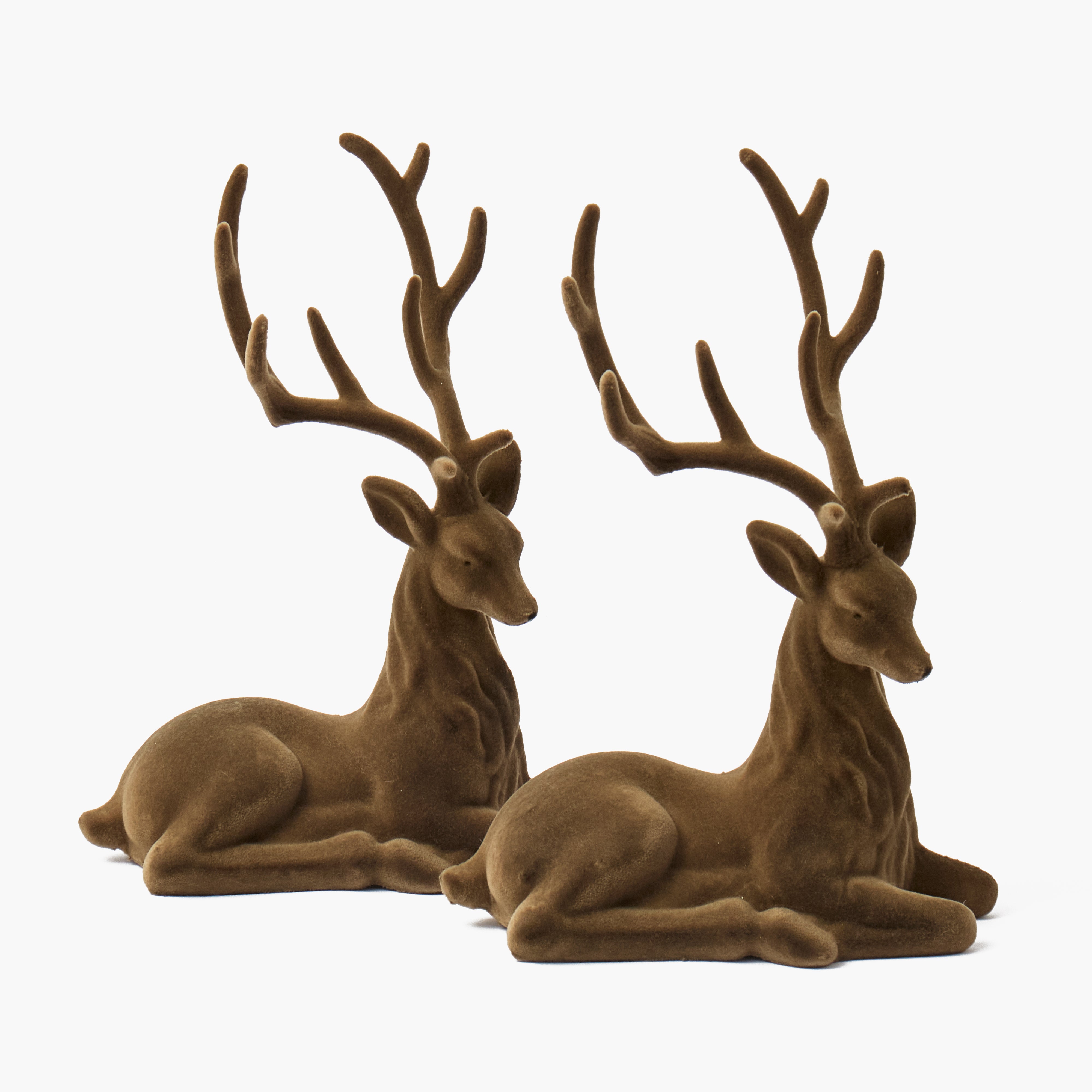 Chocolate Flocked Sitting Reindeer (Pair)