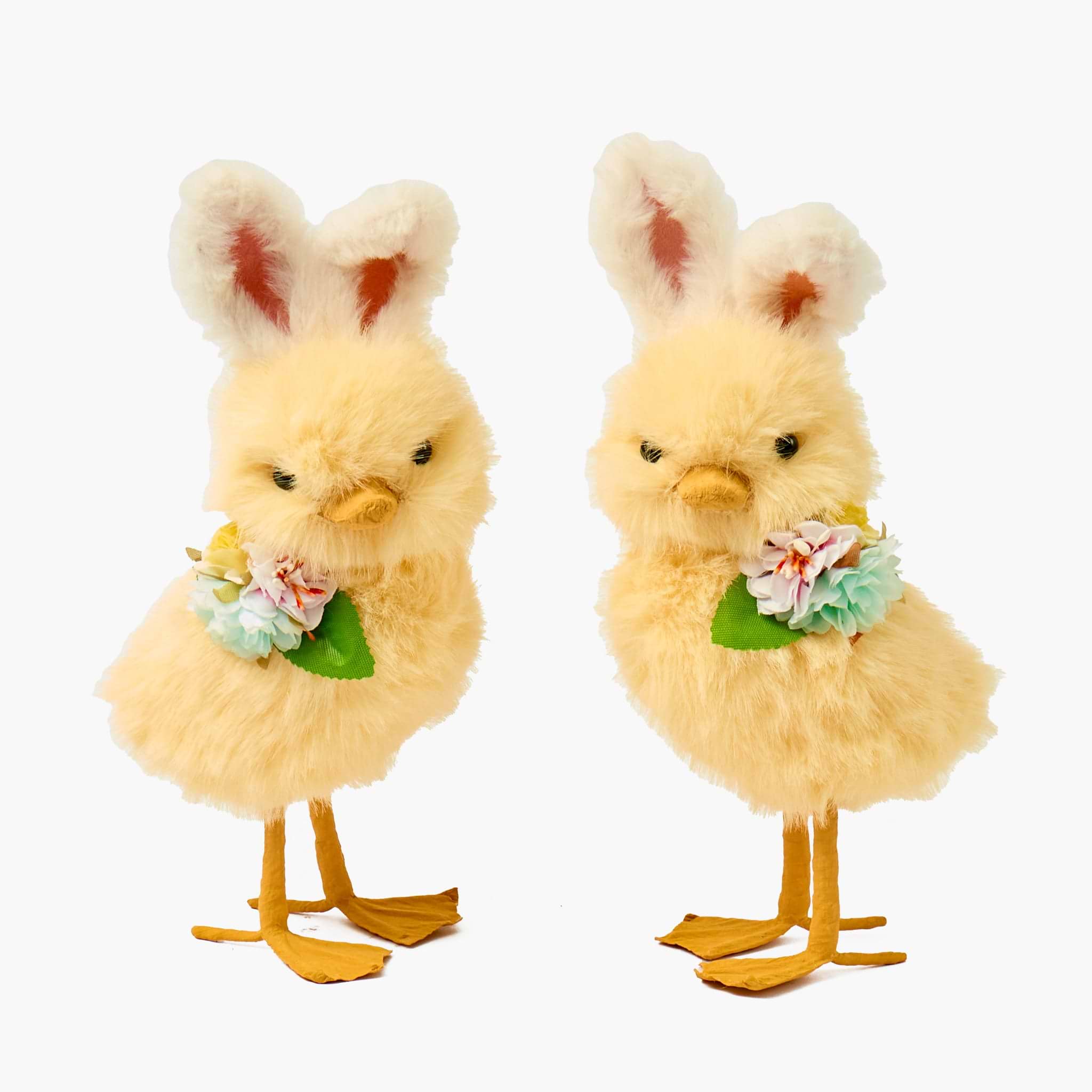 Two fluffy yellow chicks with bunny ears and flower bouquets on a white background