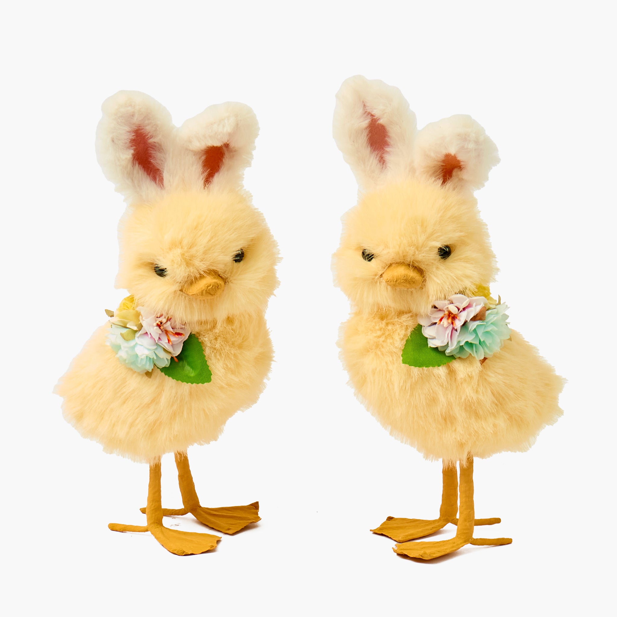 Two fluffy yellow chicks with bunny ears and flower bouquets on a white background