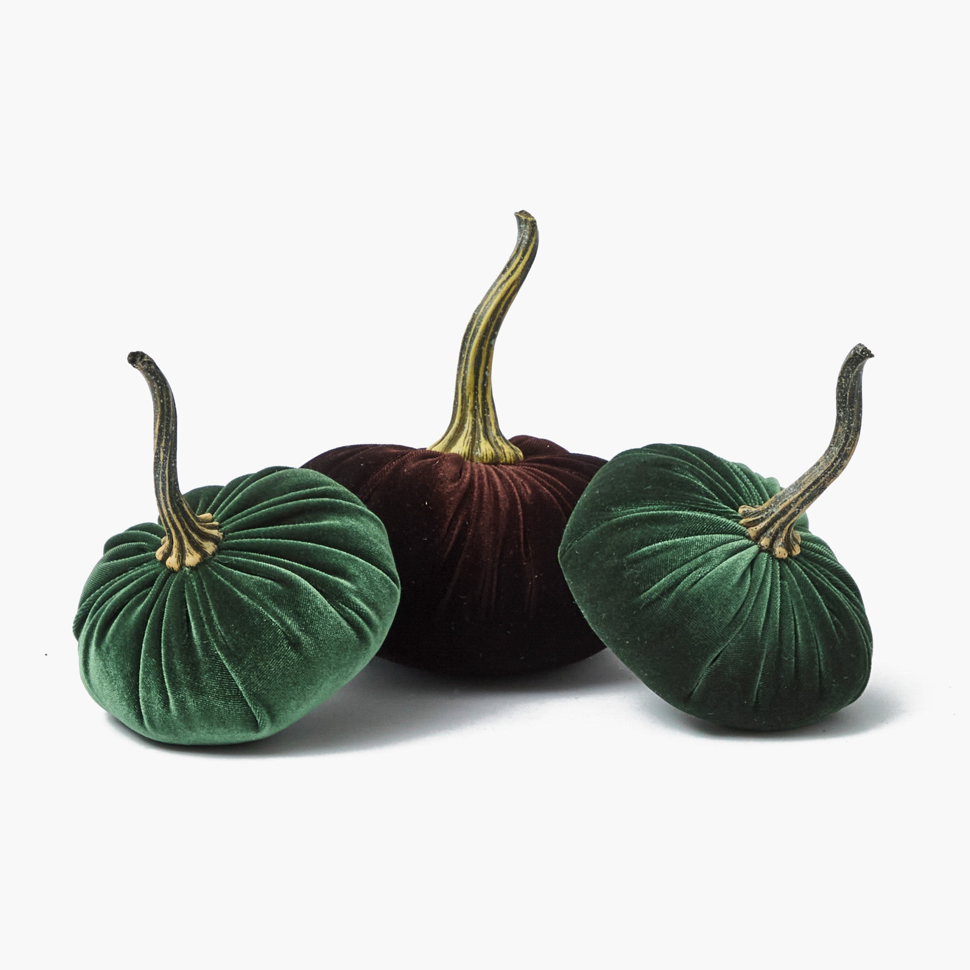 Green & Chocolate Velvet Pumpkin Family