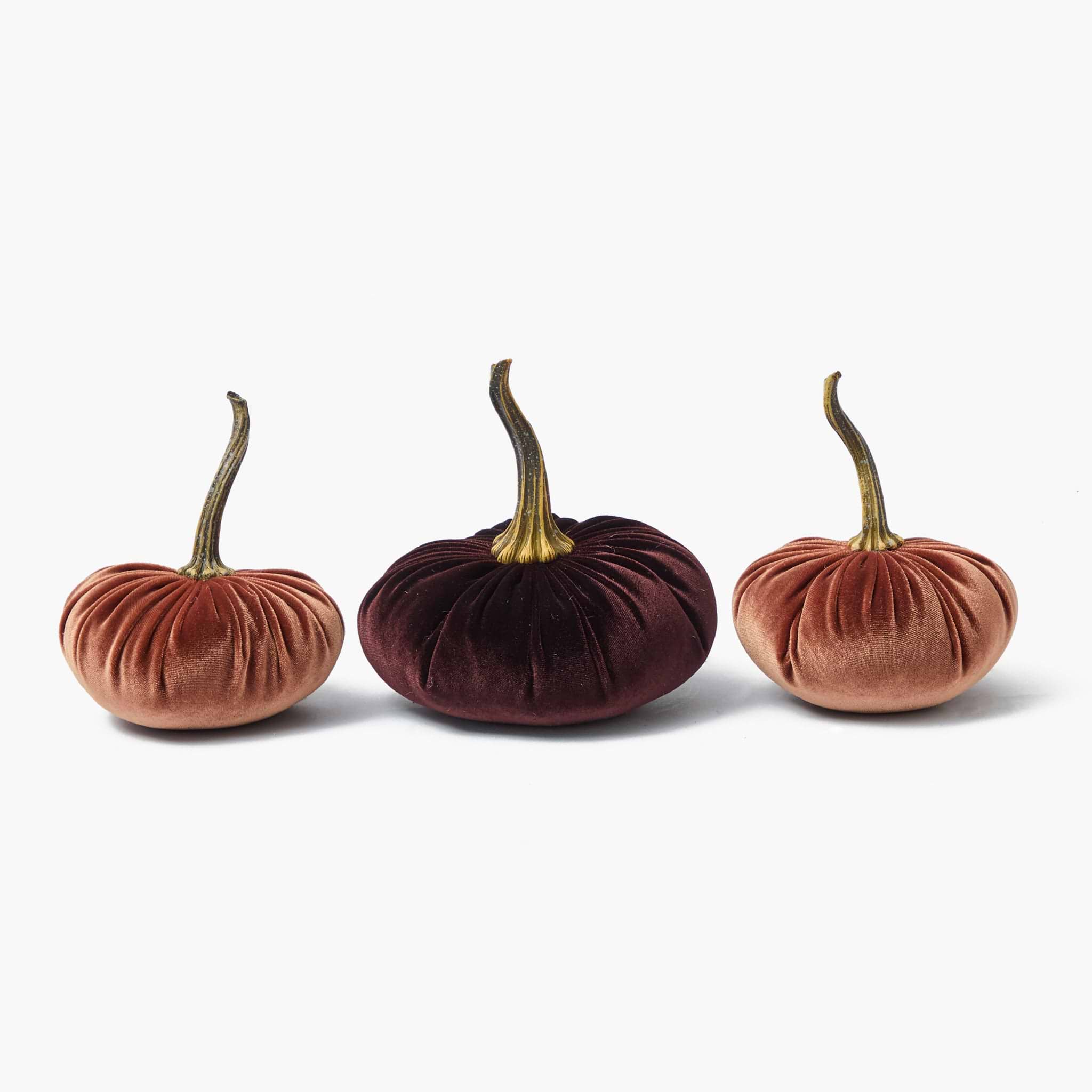 Brown Velvet Pumpkin Family