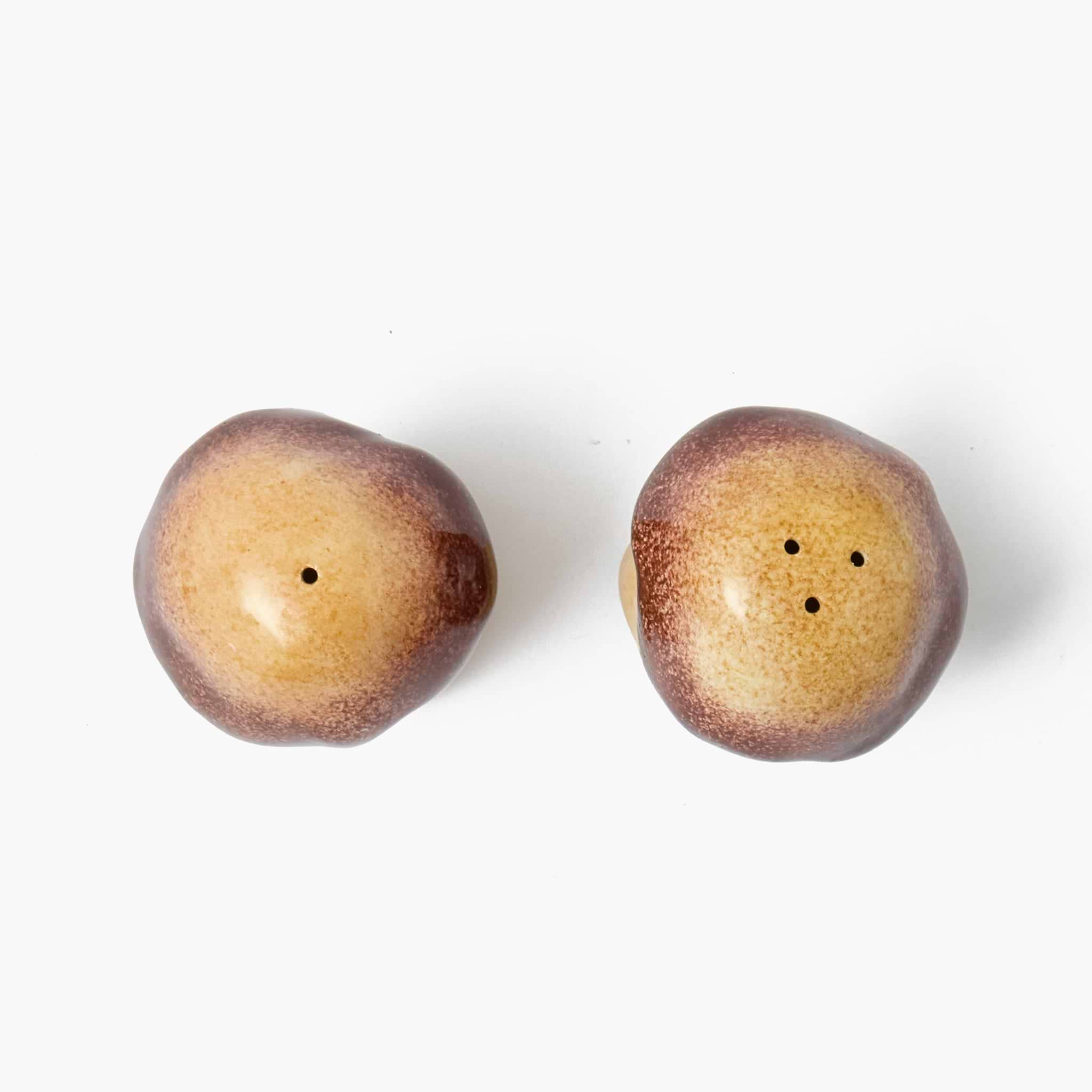 Porcini Mushroom Salt & Pepper Shaker