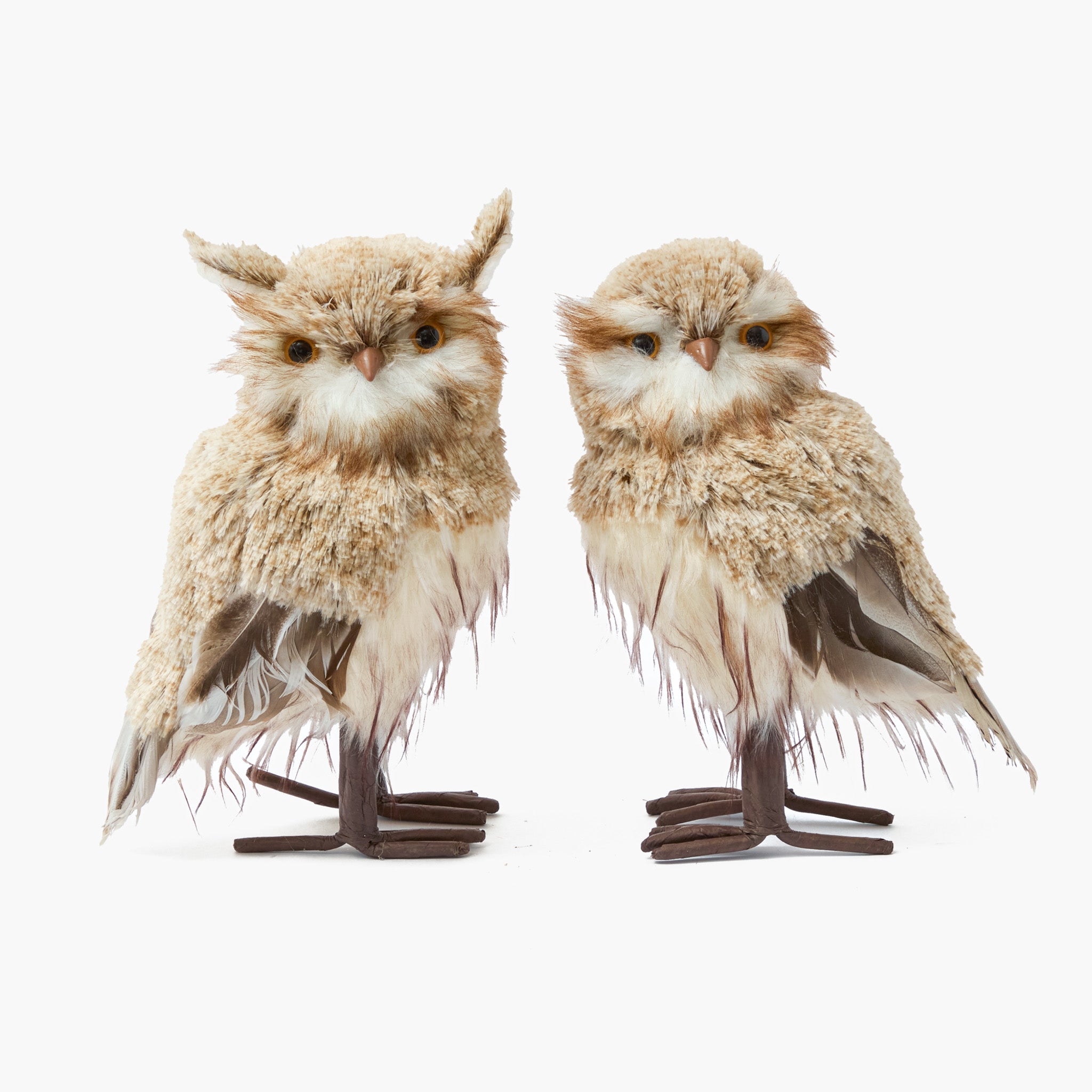 Joy of Autumn Decoration Set