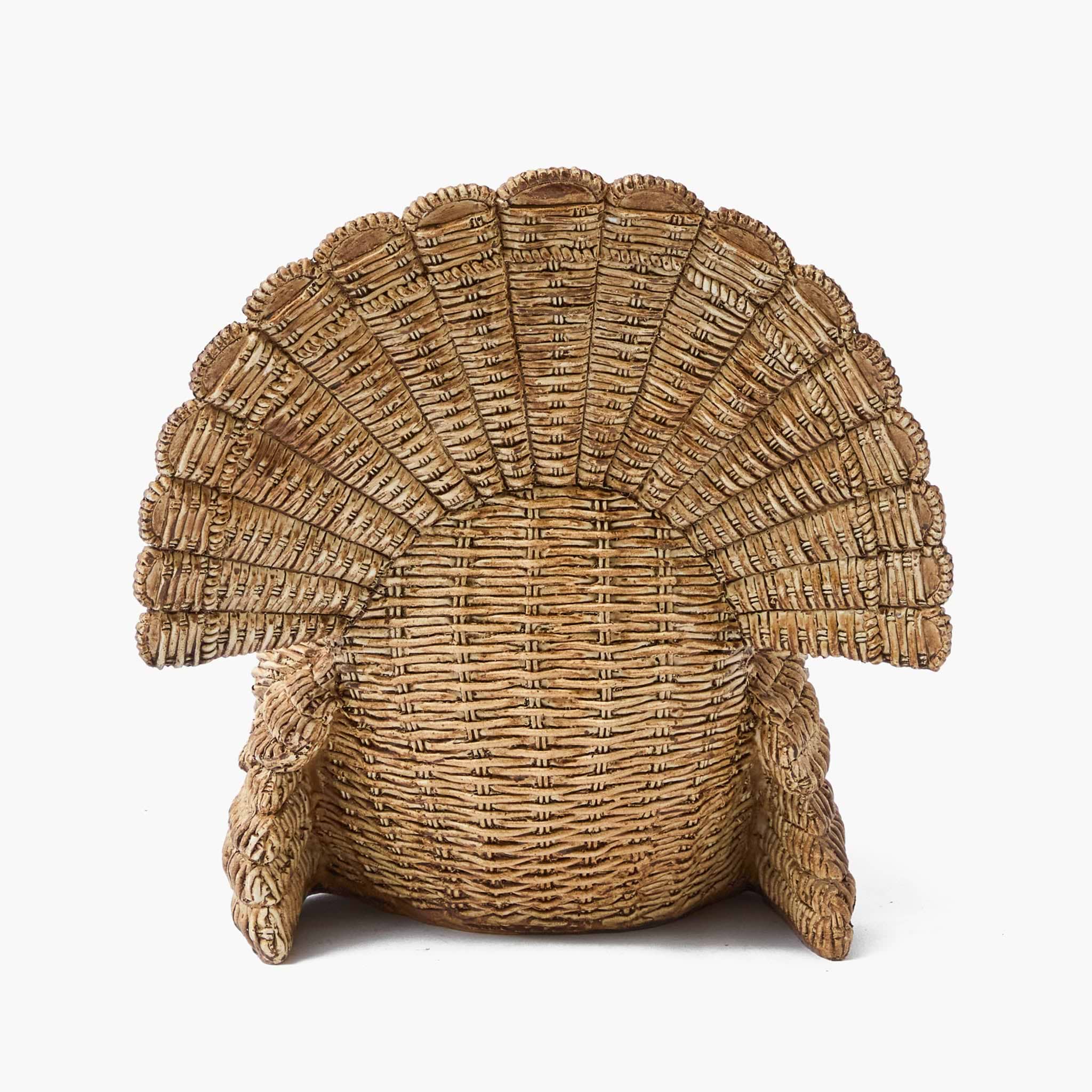 Tom the Turkey