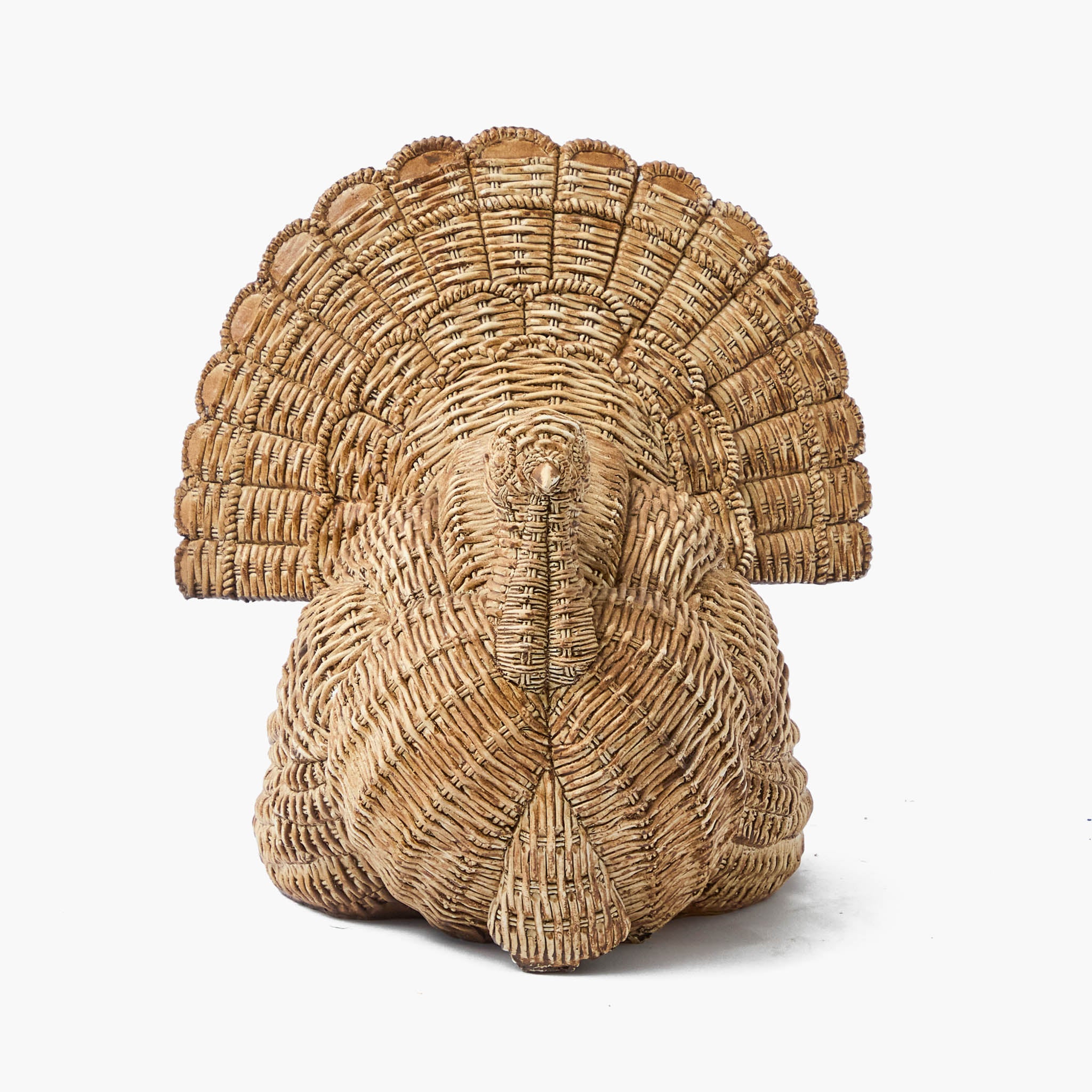 Tom the Turkey