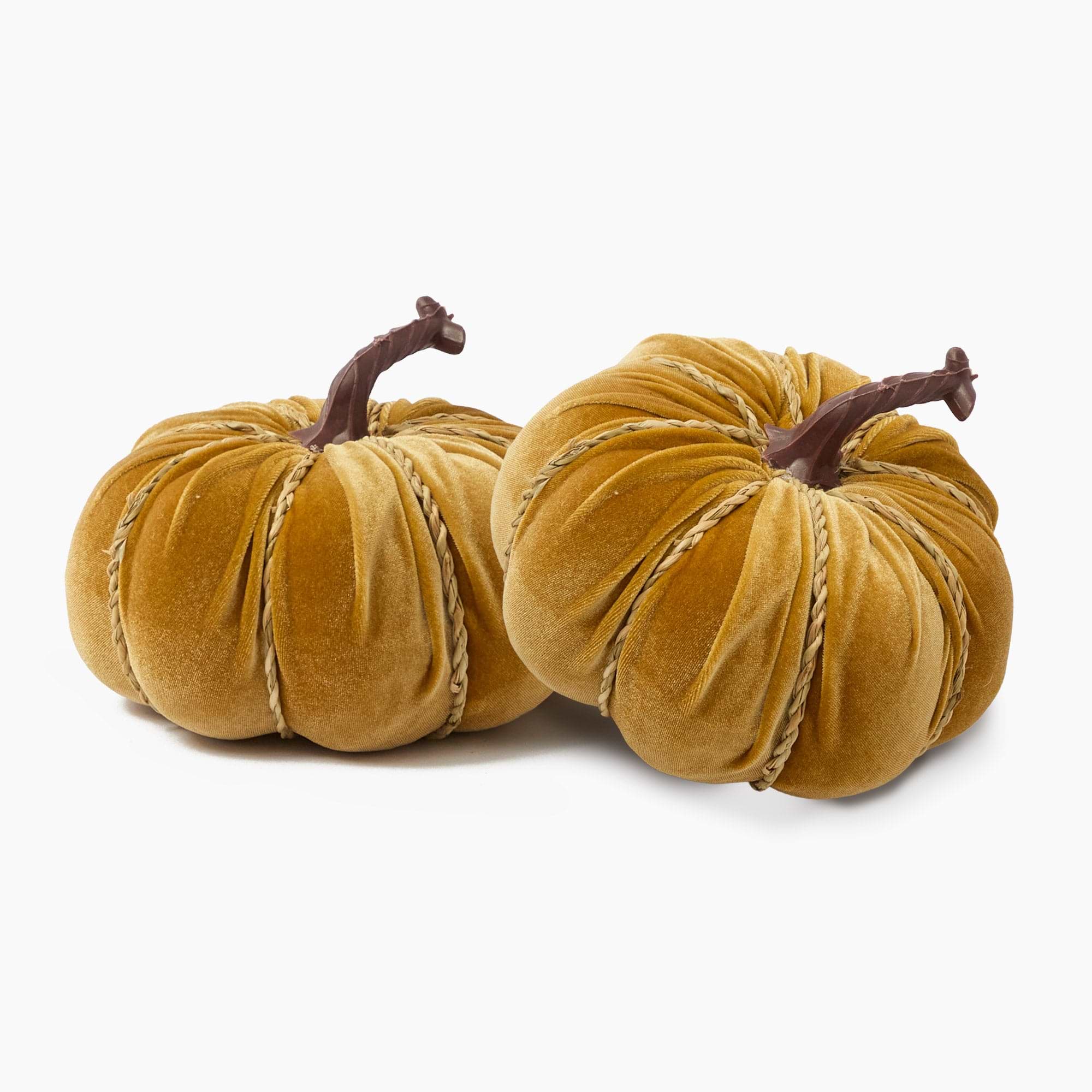 Mustard Velvet Pumpkin (Pair)