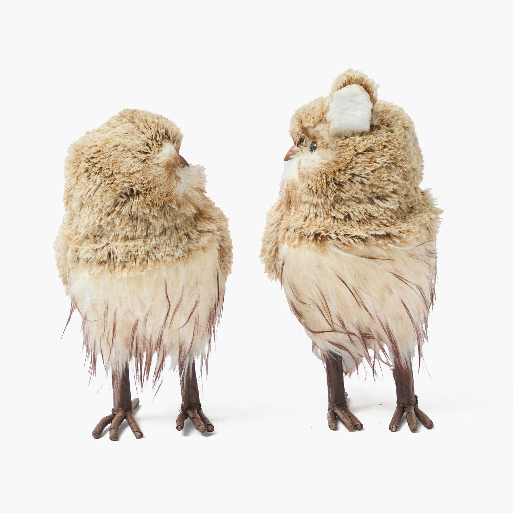 Barn Owl (Pair)