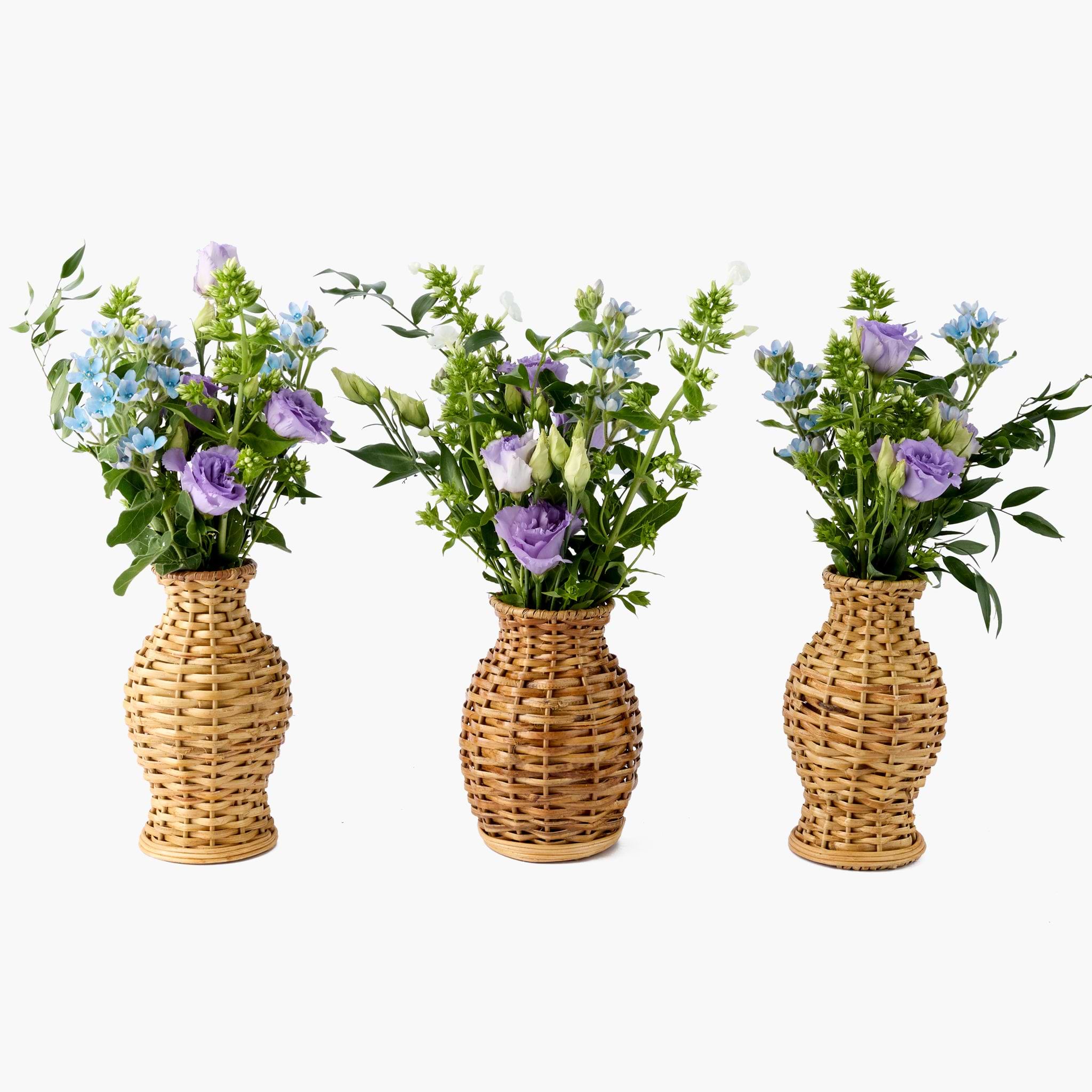 Rattan Vase (Set of 3)