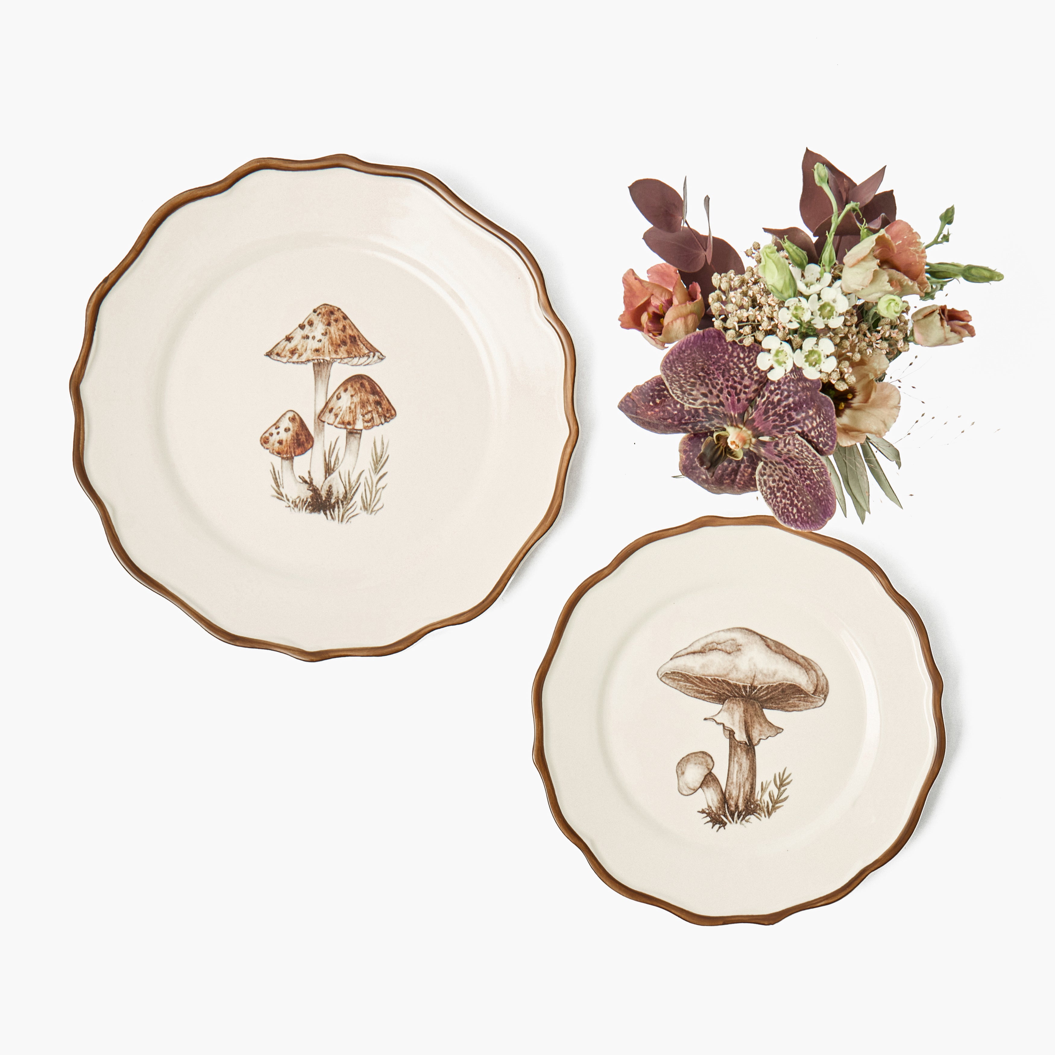 Mushroom Starter Plate