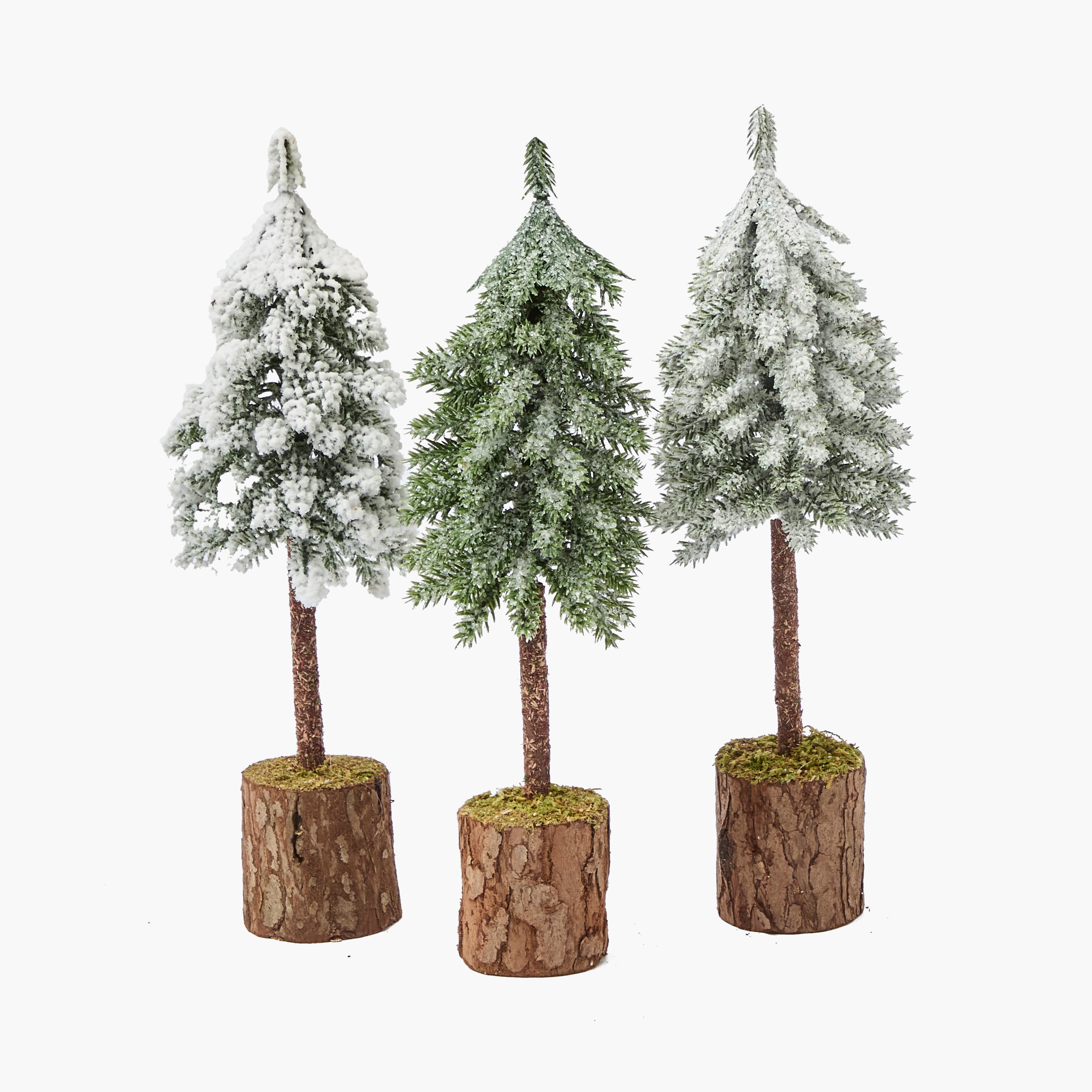 Frosted Woodland Tree Family
