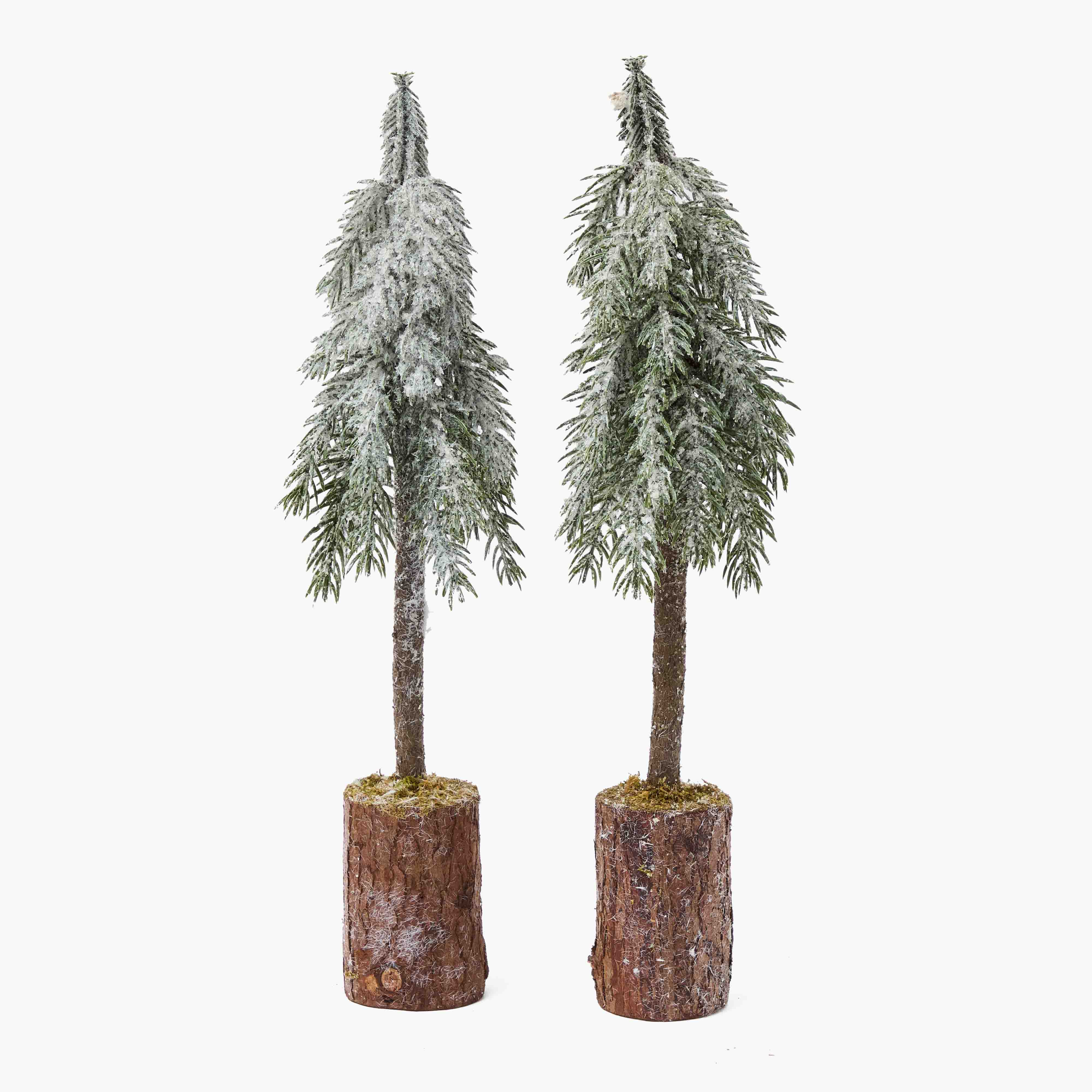Frosted Woodland Tree Family