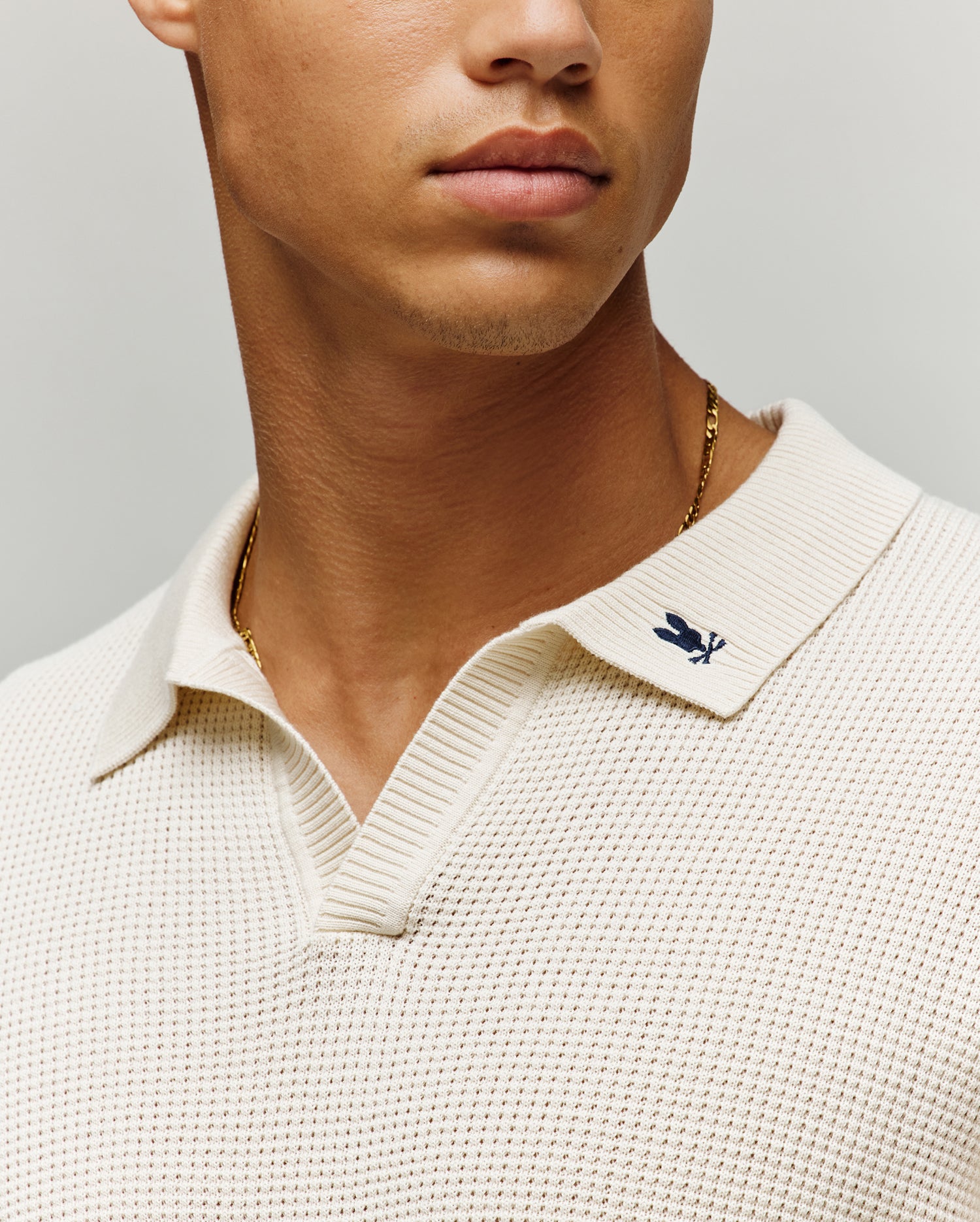 MENS LOCHLAN RELAXED JOHNNY COLLAR POLO view 2