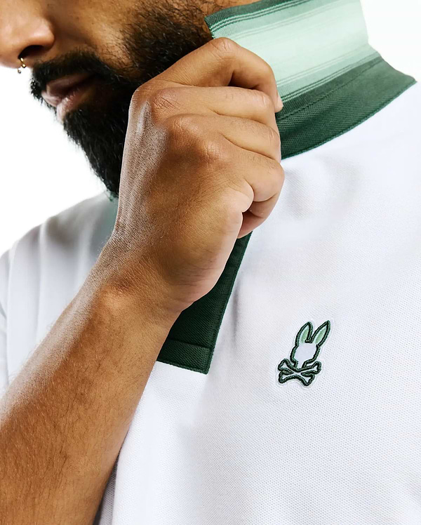 POLO EN PIQUÉ DE COTON PIMA JAYDON HOMMES vue 2