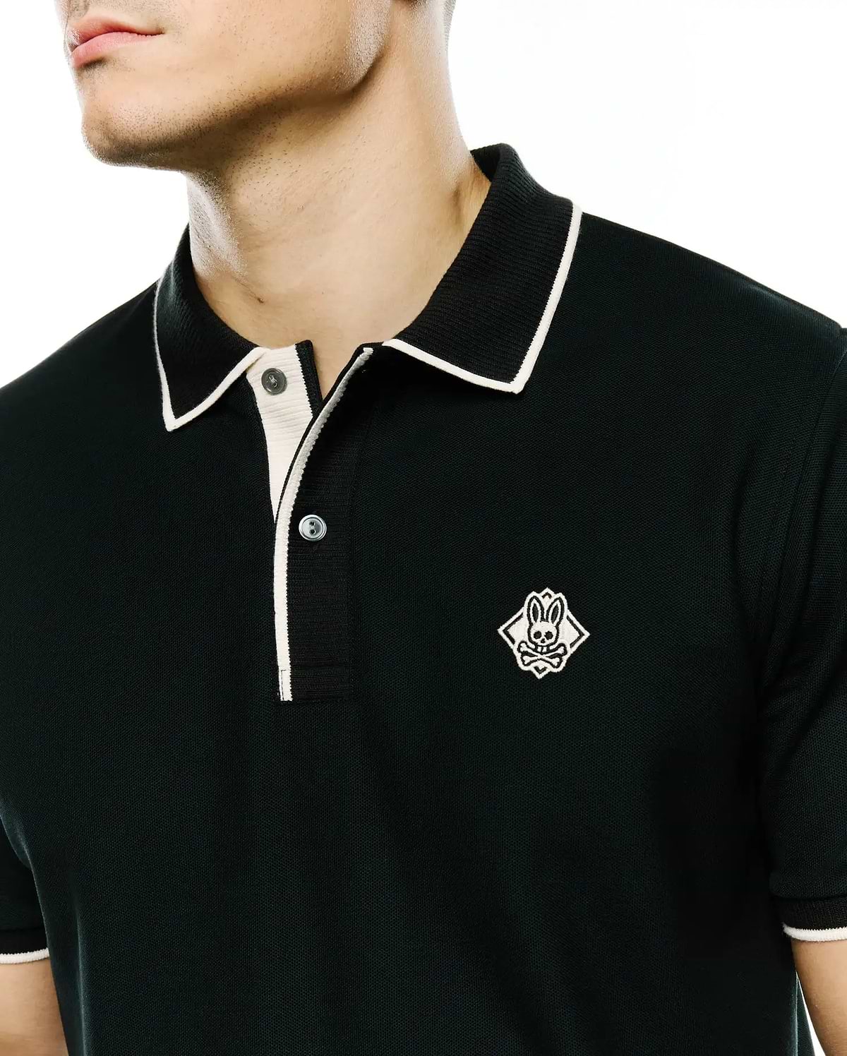 POLO EN PIQUÉ DE COTON PIMA ROBIN HOMMES