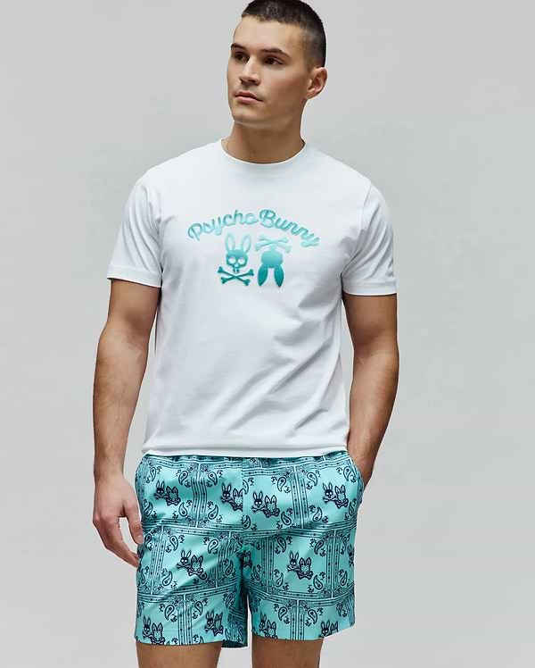 MENS ARAM GRAPHIC TEE view 2