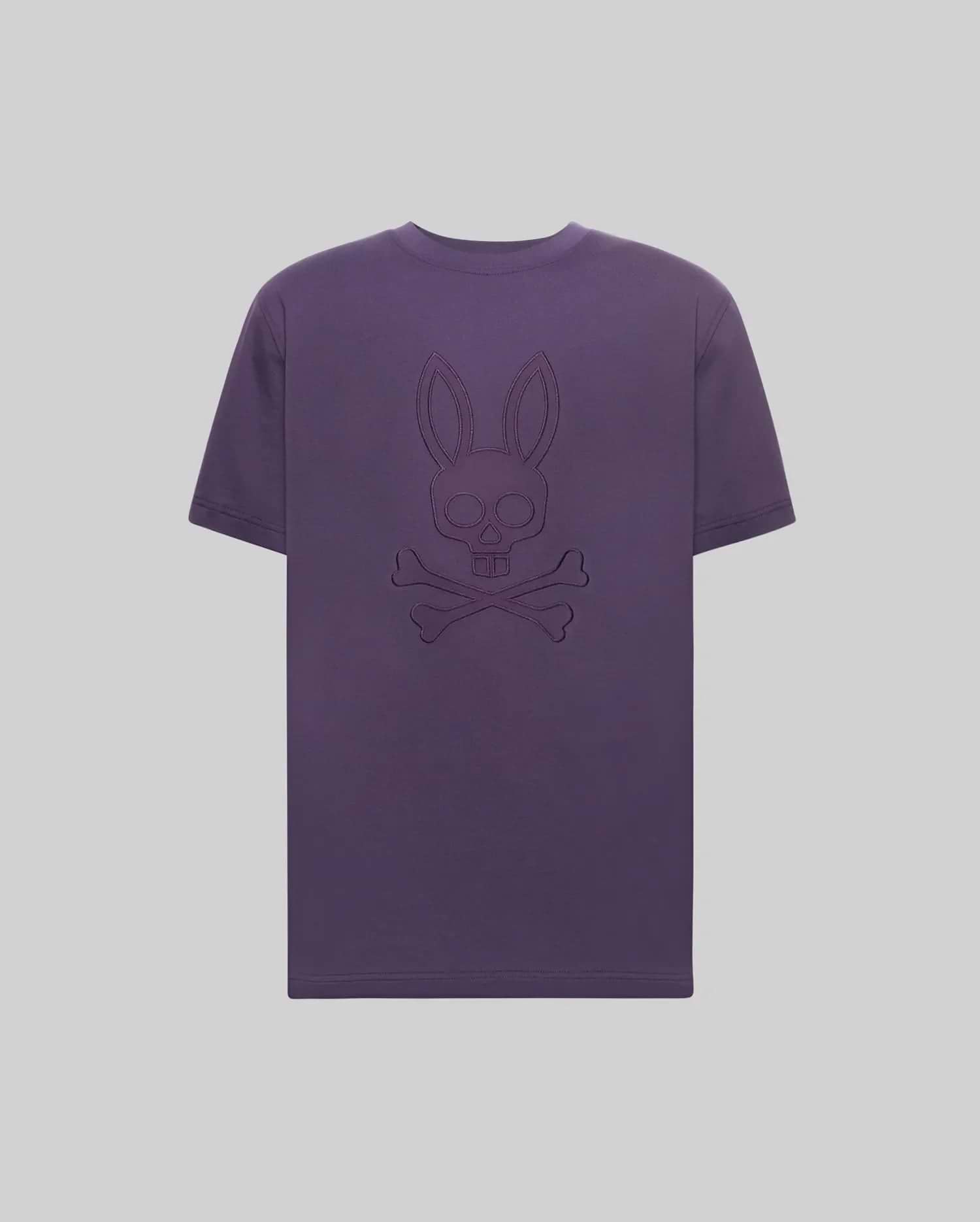 MENS ASHTON GRAPHIC TEE - MT0200271