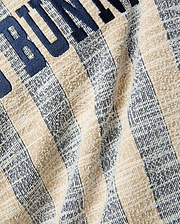 MENS Nathaniel Relaxed Raglan Tee, a relaxed fit textured knit with alternating beige and heathered navy-white vertical stripes, featuring large navy embroidered BUNNY text.