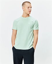 Mens Taylor Pique Tee, a classic fit light green pique t-shirt featuring a small embroidered white Psycho Bunny skull logo on the left chest.