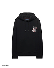 HOT WHEELS MEN'S PULLOVER HOODIE - MT0500326