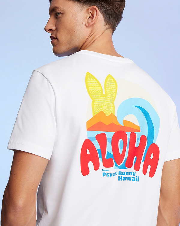 MENS HAWAII CITY TEE view 2