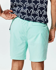 Mens Samos Hydrochromic Printed Swim Trunk 6 in mint green, featuring a smooth quick-dry fabric, classic fit, back welt pocket, and a small Psycho Bunny side seam tag.