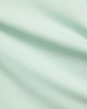 Mens Tiernan Pique Polo, a premium Psycho Bunny menswear piece, featuring a vibrant light mint green color and a finely textured, breathable pique fabric weave.