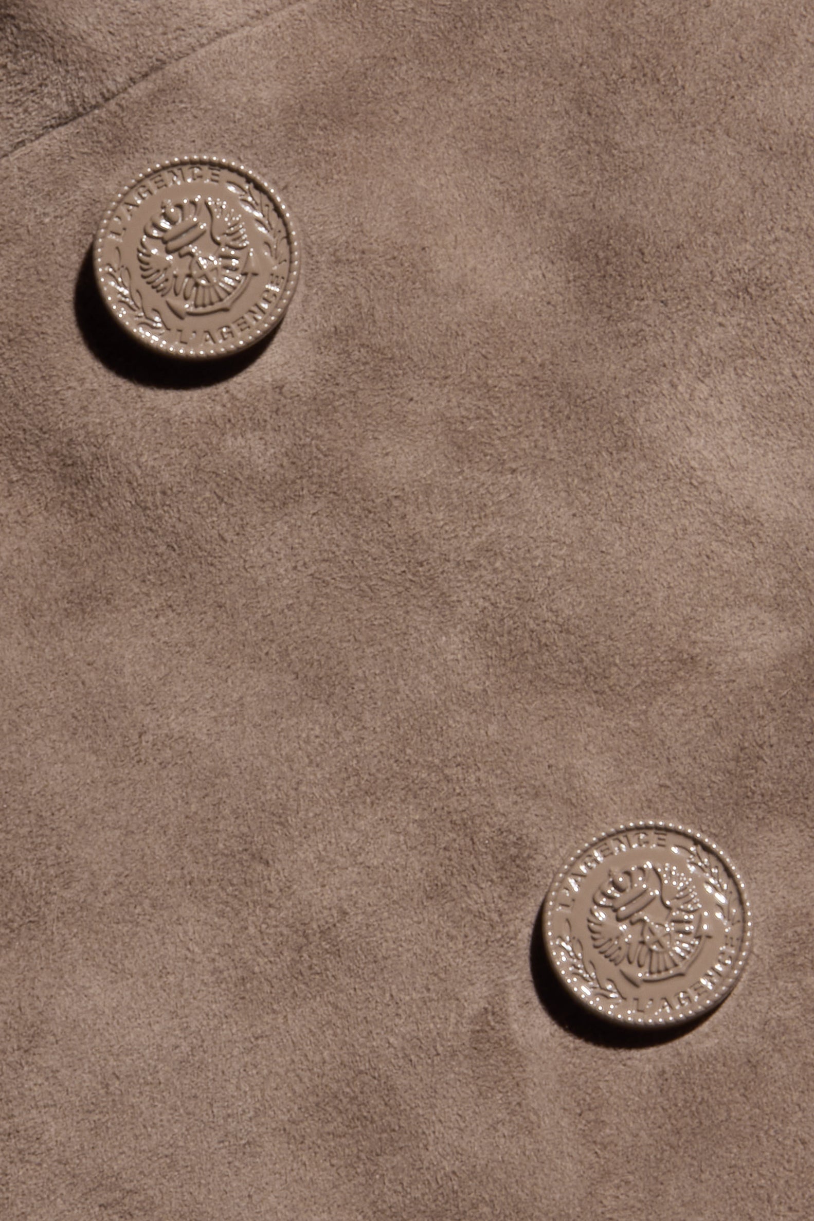 Two silver coins featuring an eagle design and the inscription “LARBM” rest on the Aimee Oversized Suede Blazer in soft brown.