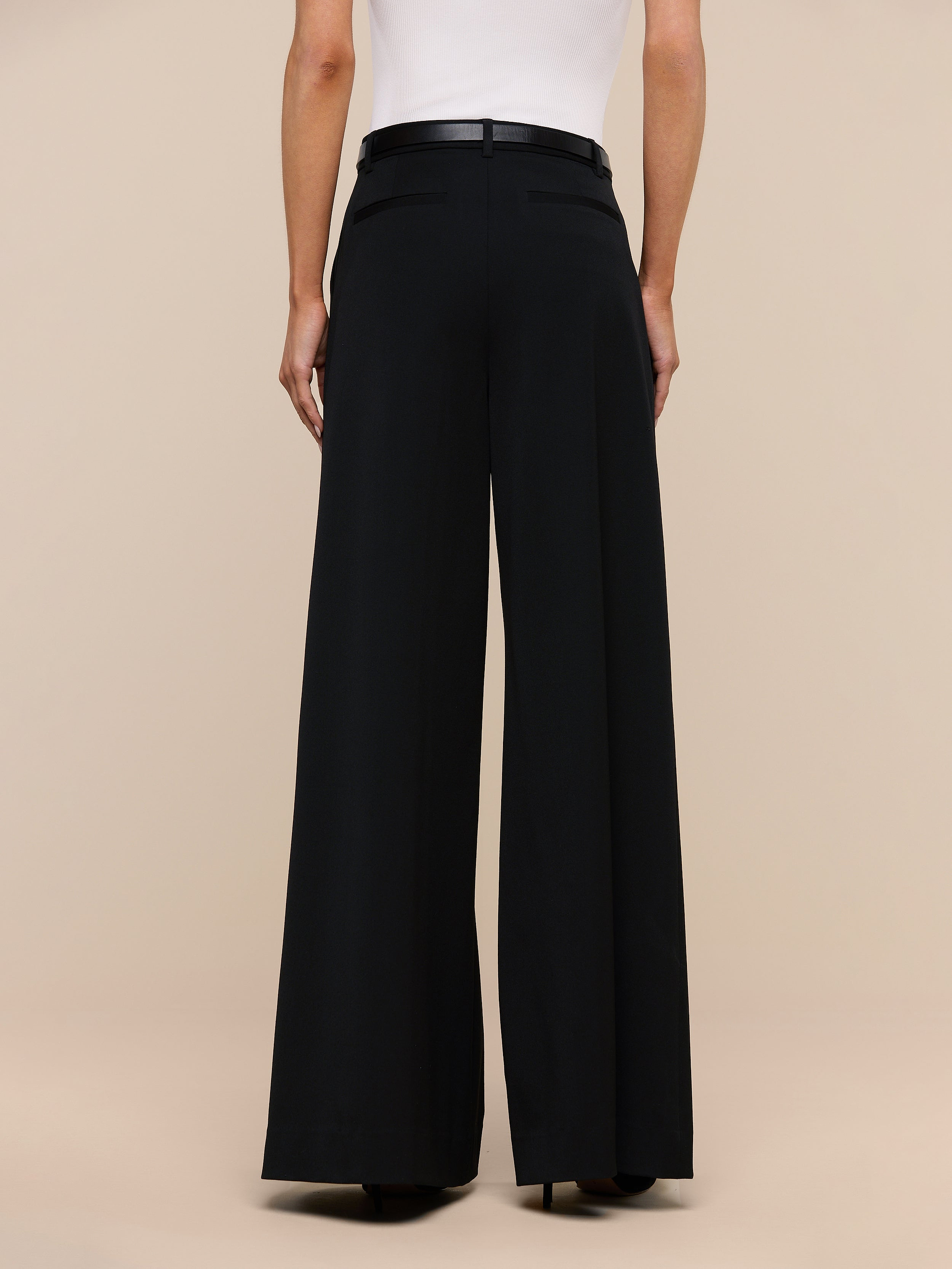 A person is shown from the back against a plain white background, wearing the Chelsy Wide-Leg Pant and a white top.