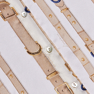 A close-up of fabric patterned with beige straps, gold buckles, and buttons on a white background. The text LAGENCE is visible on a gold buckle, evoking the luxurious detail often found in the Tyler Silk Blouse from L’AGENCE.