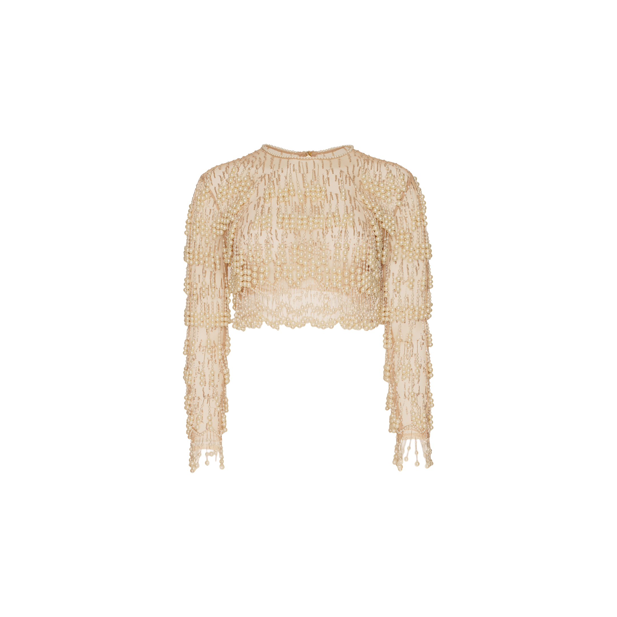 The Rogan Pearl Fringe Top is a beige, mesh long sleeve semi-sheer cropped party top with intricate lace detailing and scalloped edges, displayed against a plain white background.